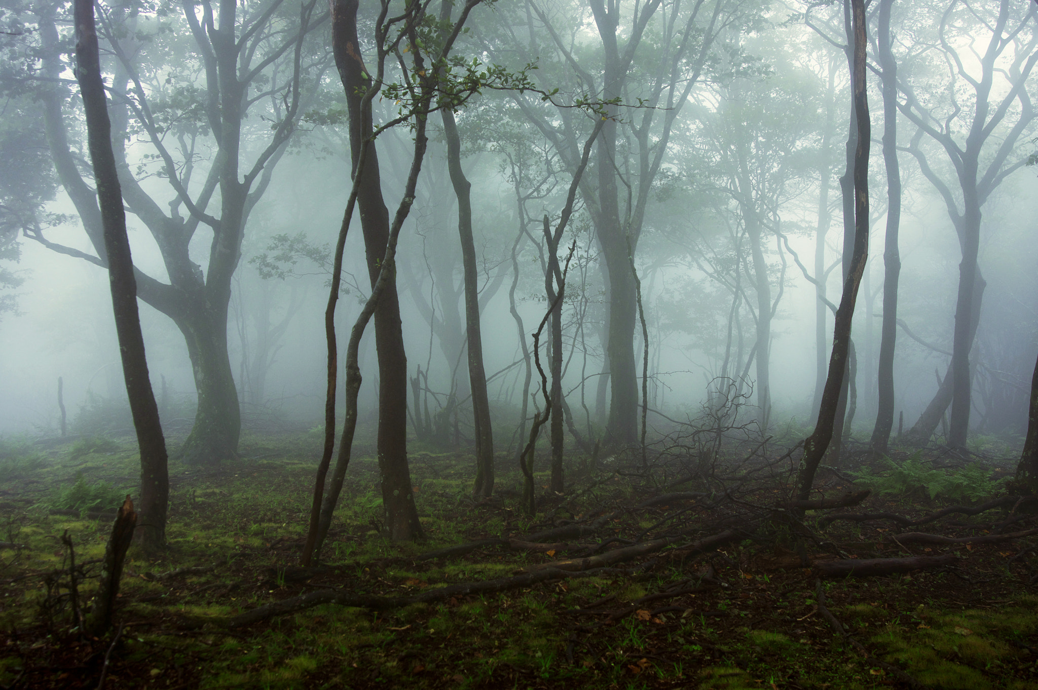 Pentax K-3 sample photo. Mt.oikedake / mie prefecture photography