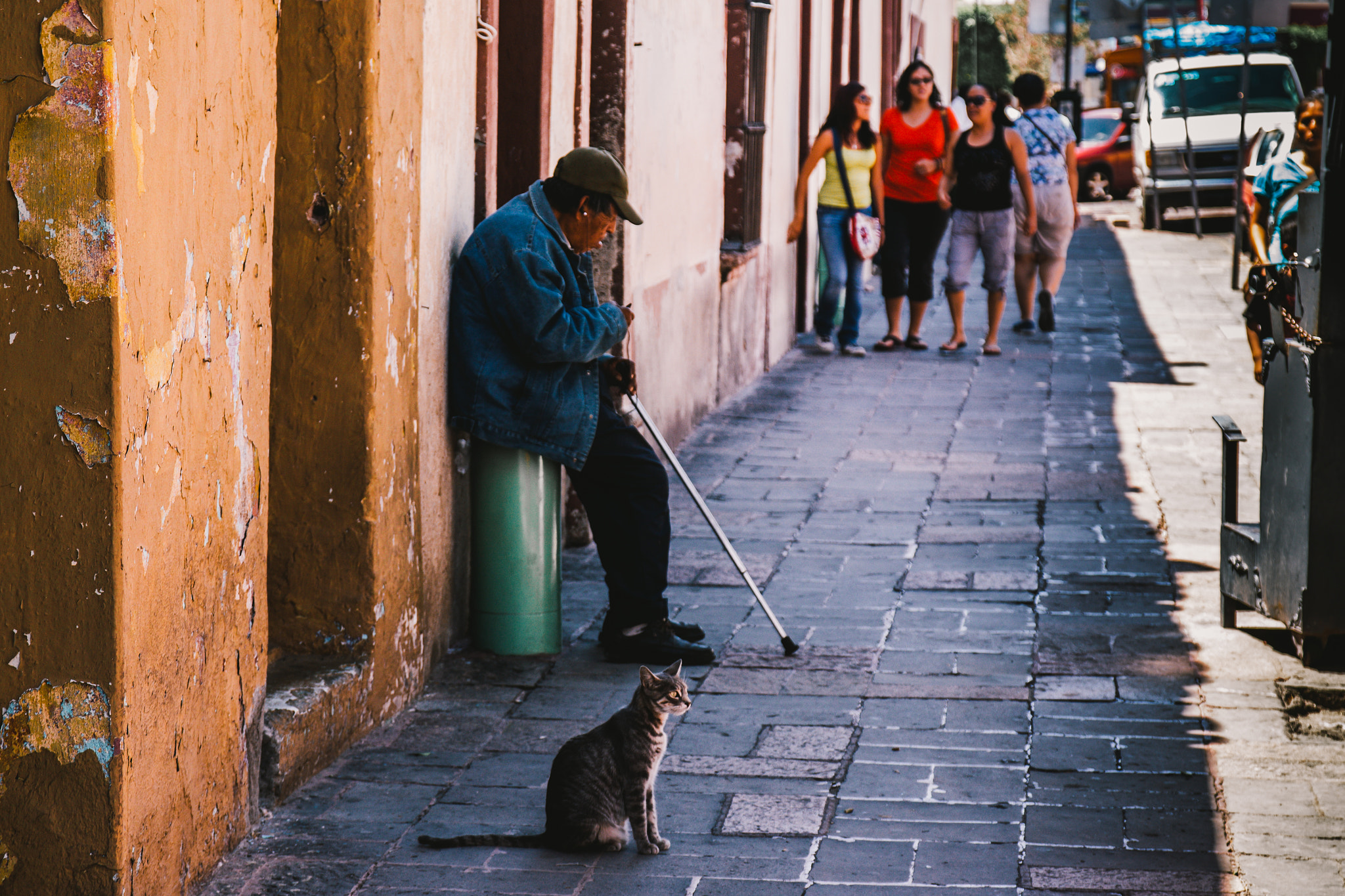 Sigma 17-70mm F2.8-4 DC Macro OS HSM sample photo. The cat & his master photography