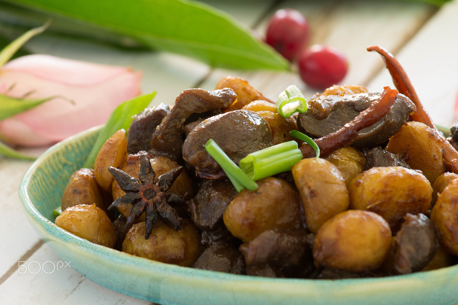 Canon EF 70-200mm F4L IS USM sample photo. Delicious meat photography