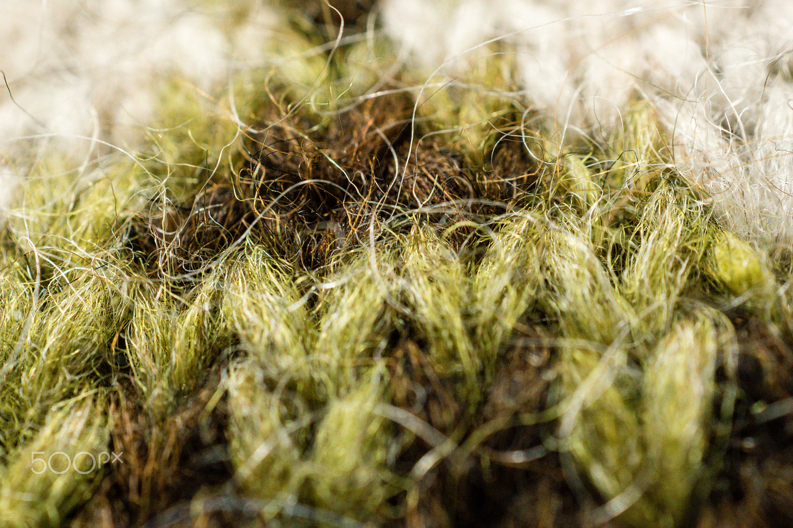 Sony SLT-A65 (SLT-A65V) + Sony DT 30mm F2.8 Macro SAM sample photo. Wool photography