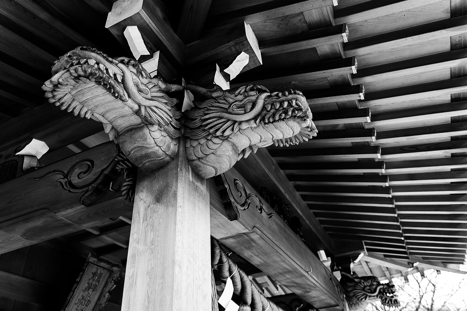 Nikon D610 + Sigma 18-35mm F1.8 DC HSM Art sample photo. Dsc_0353.jpg photography