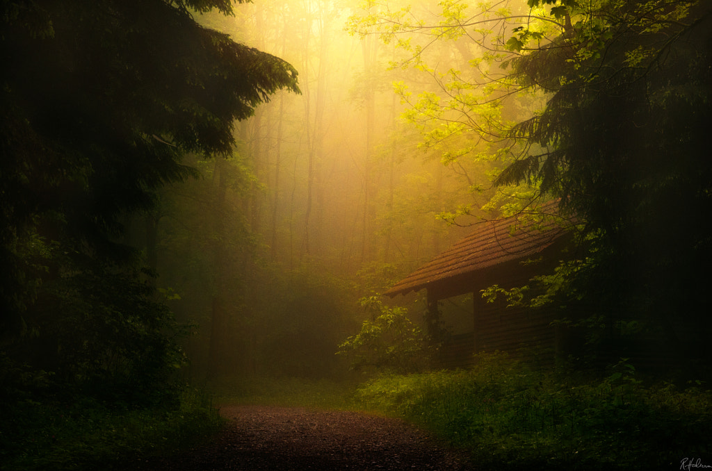 Hänsel und Gretel by Robin Halioua on 500px.com