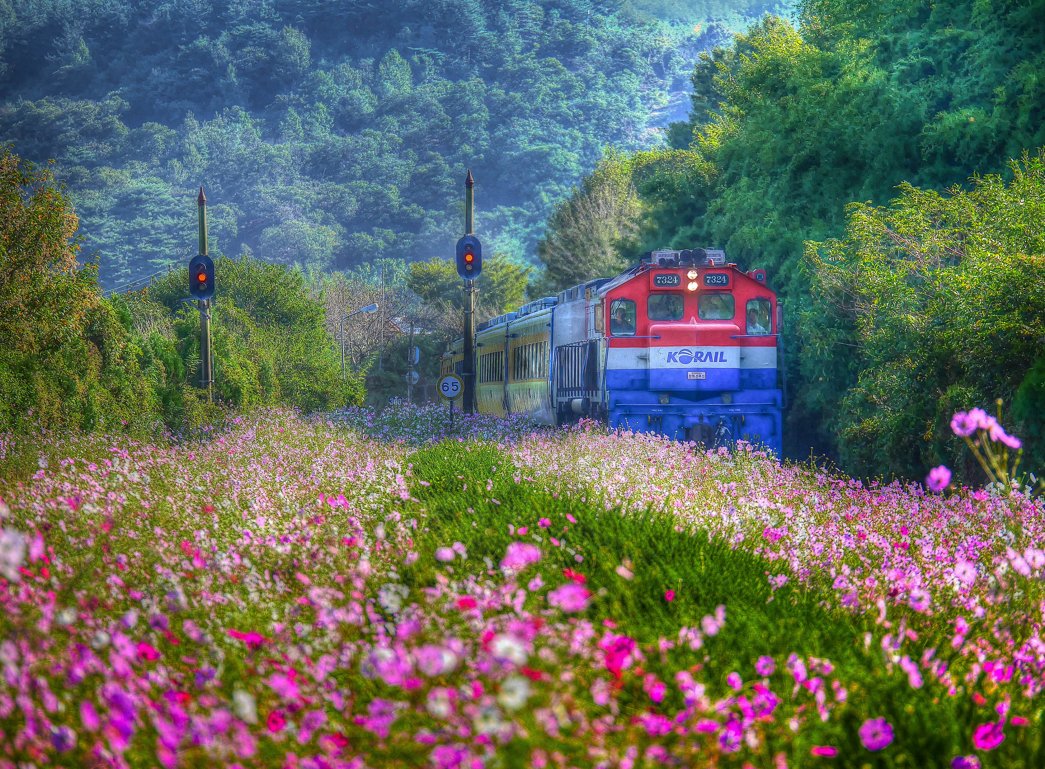 Panasonic Lumix G X Vario 35-100mm F2.8 OIS sample photo. Train in a fairy tale photography