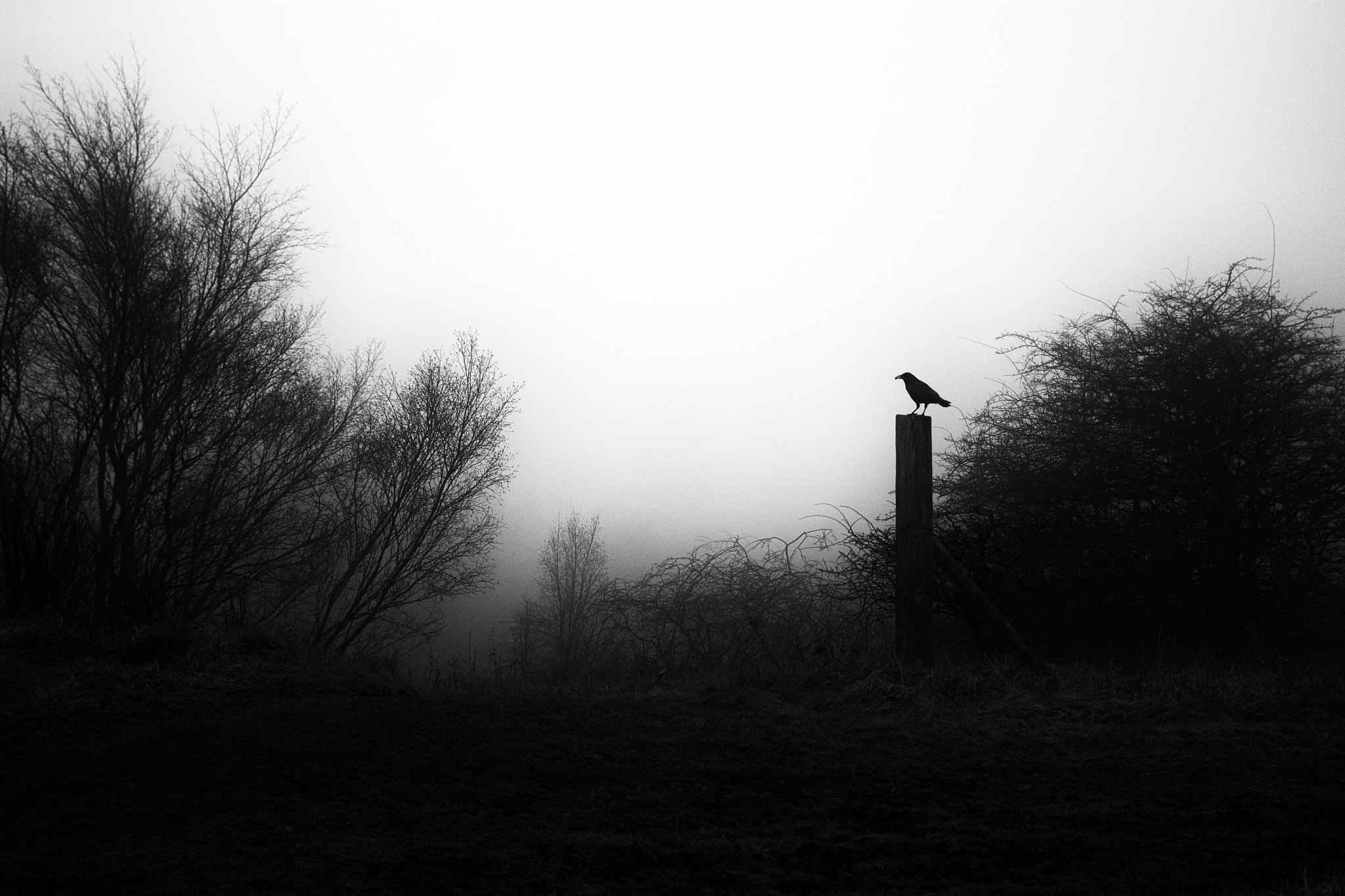 Canon EF 28mm F2.8 sample photo. Eek photography