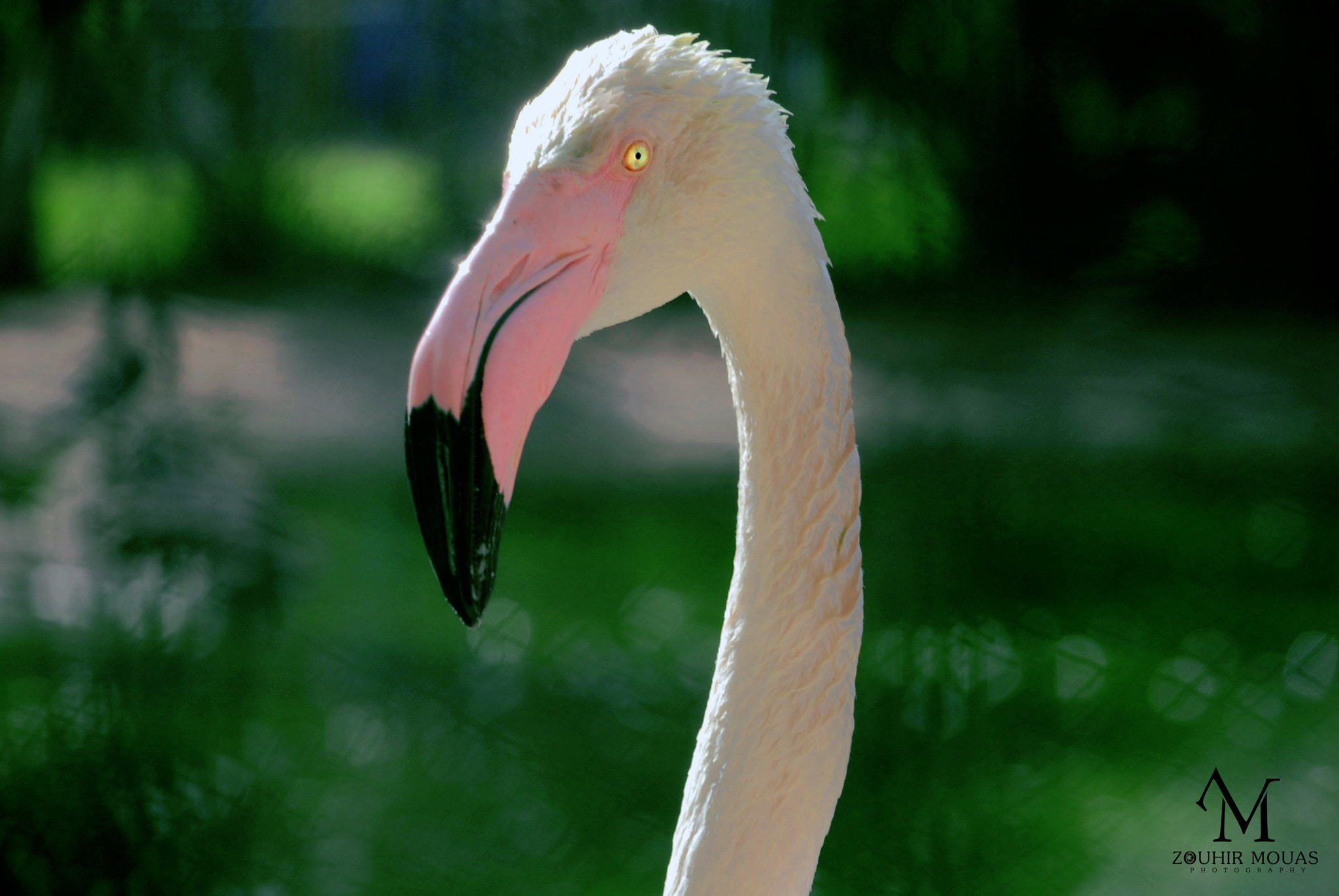 Nikon D200 sample photo. 01 photography
