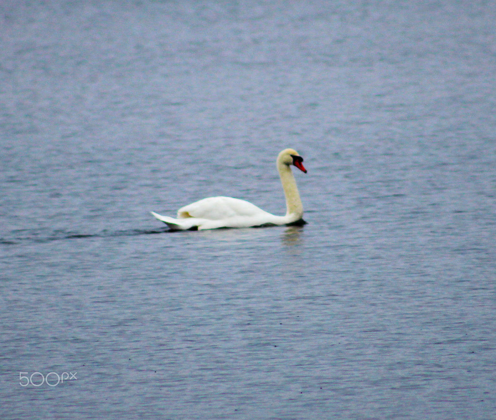 Canon EOS M + EF75-300mm f/4-5.6 sample photo. Nature photography