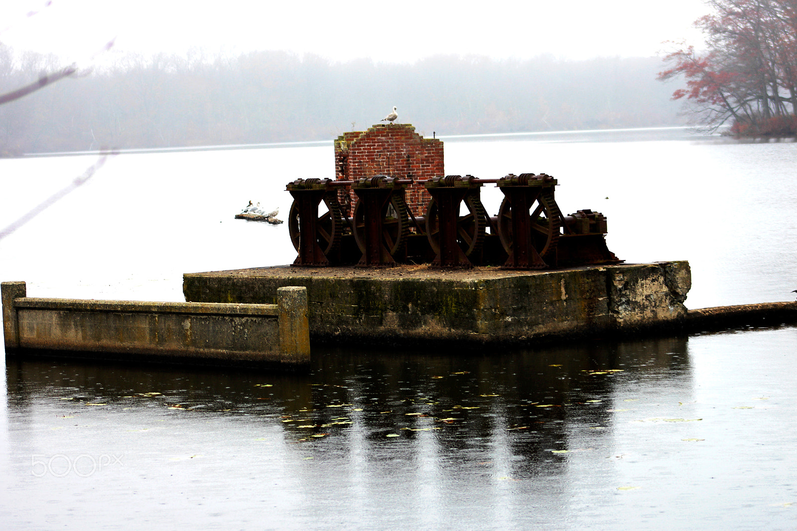 Canon EOS M sample photo. Nature photography