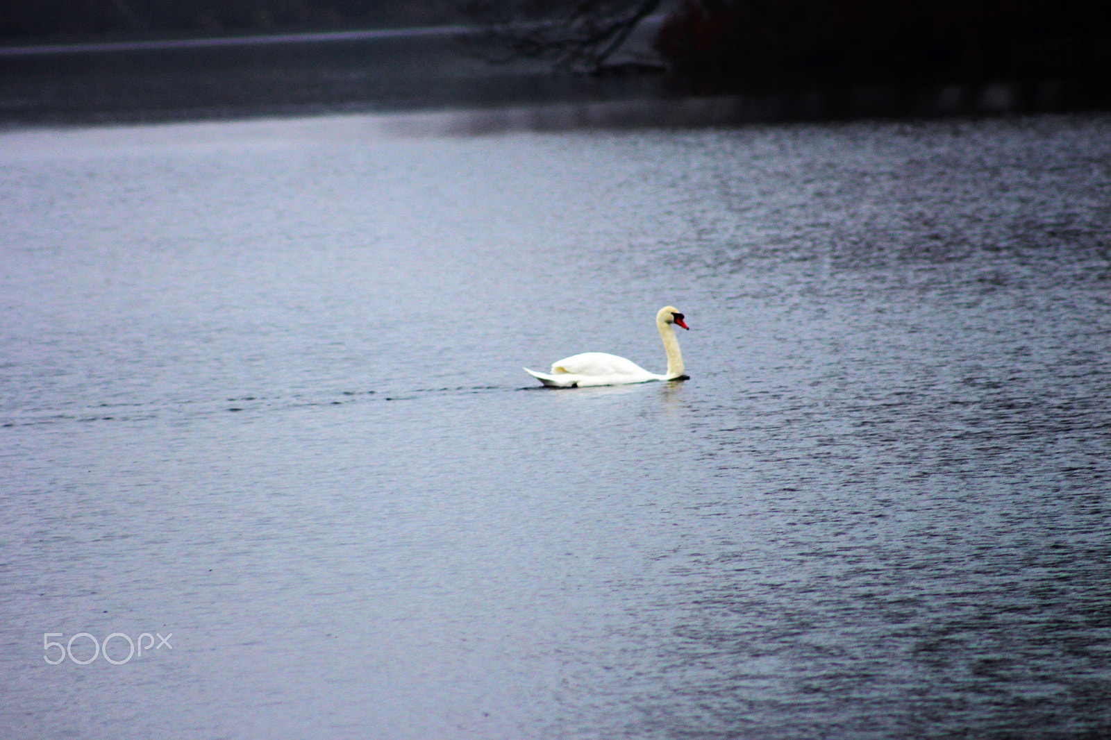 Canon EOS M + EF75-300mm f/4-5.6 sample photo. Nature photography