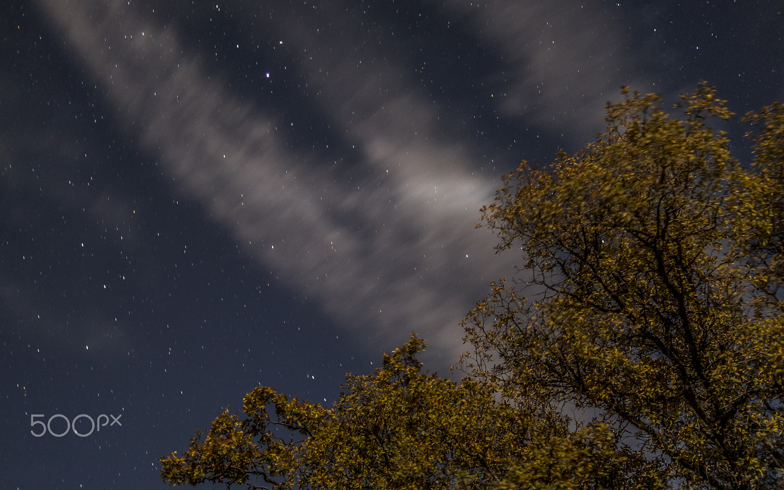 Sony a99 II + Sony DT 35mm F1.8 SAM sample photo. Autumn universe photography