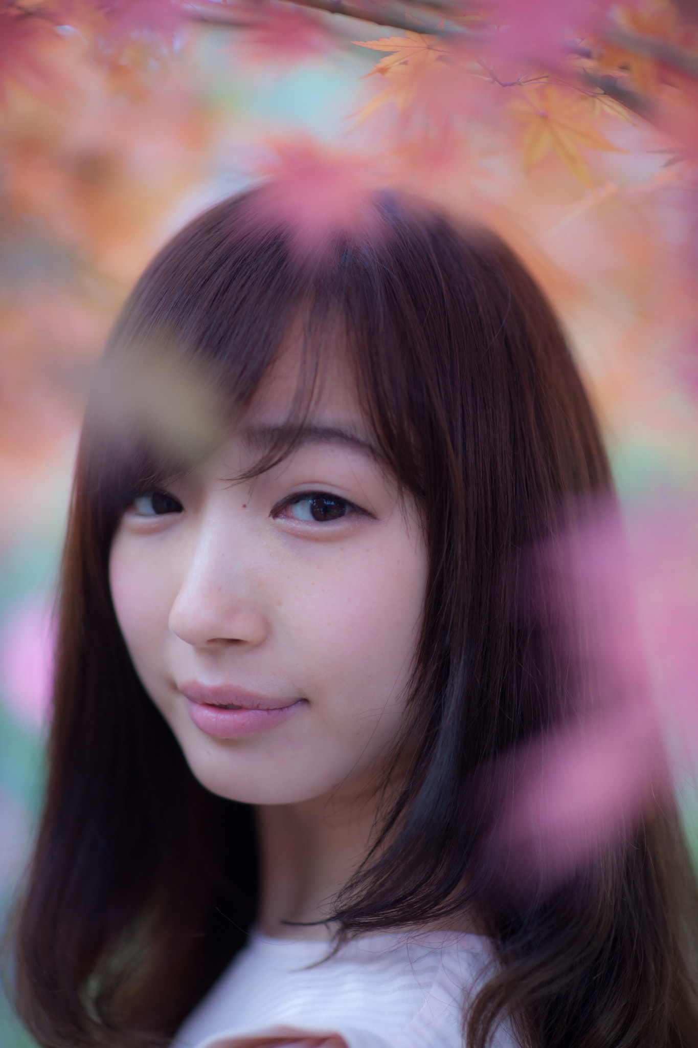 Sony Planar T* 85mm F1.4 ZA sample photo. Kaguyahime photography