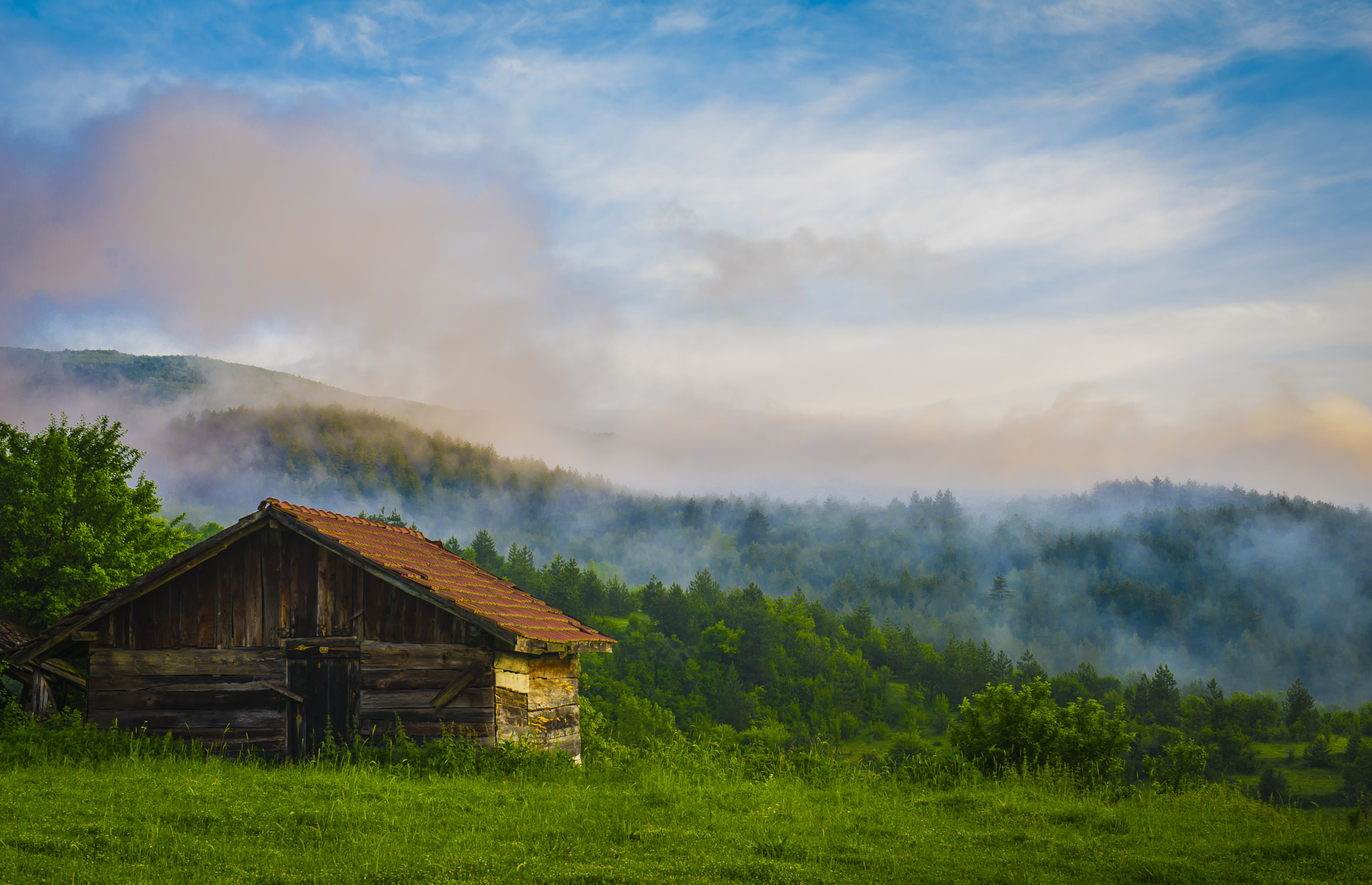 Nikon D600 + Sigma 50mm F1.4 DG HSM Art sample photo. Fog photography