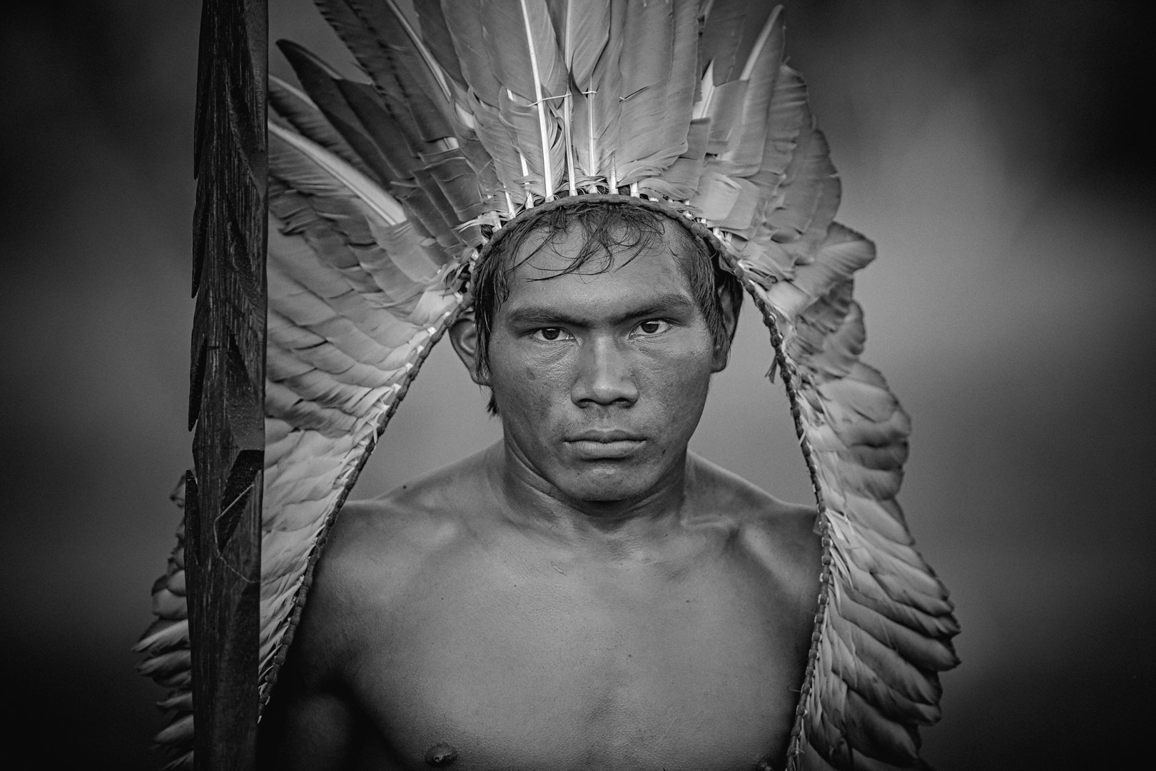 Canon EF 300mm F2.8L IS USM sample photo. © 2015 Érico salutti photography