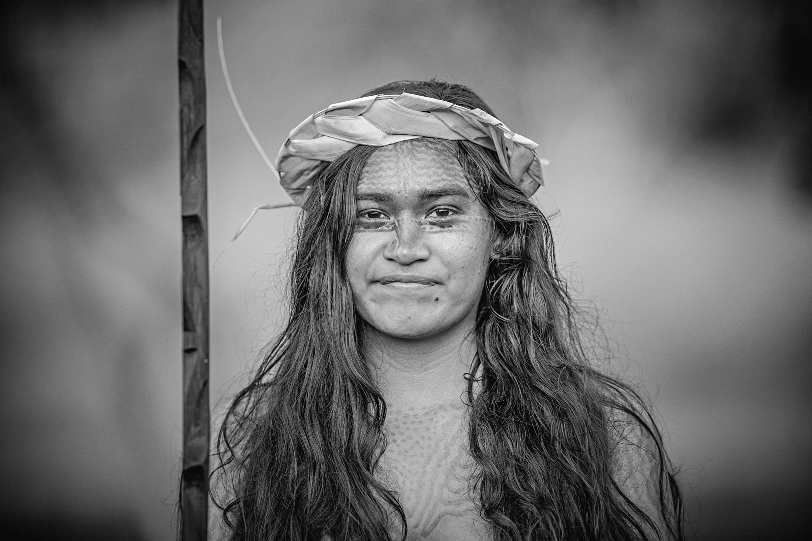 Canon EF 300mm F2.8L IS USM sample photo. © 2015 Érico salutti photography