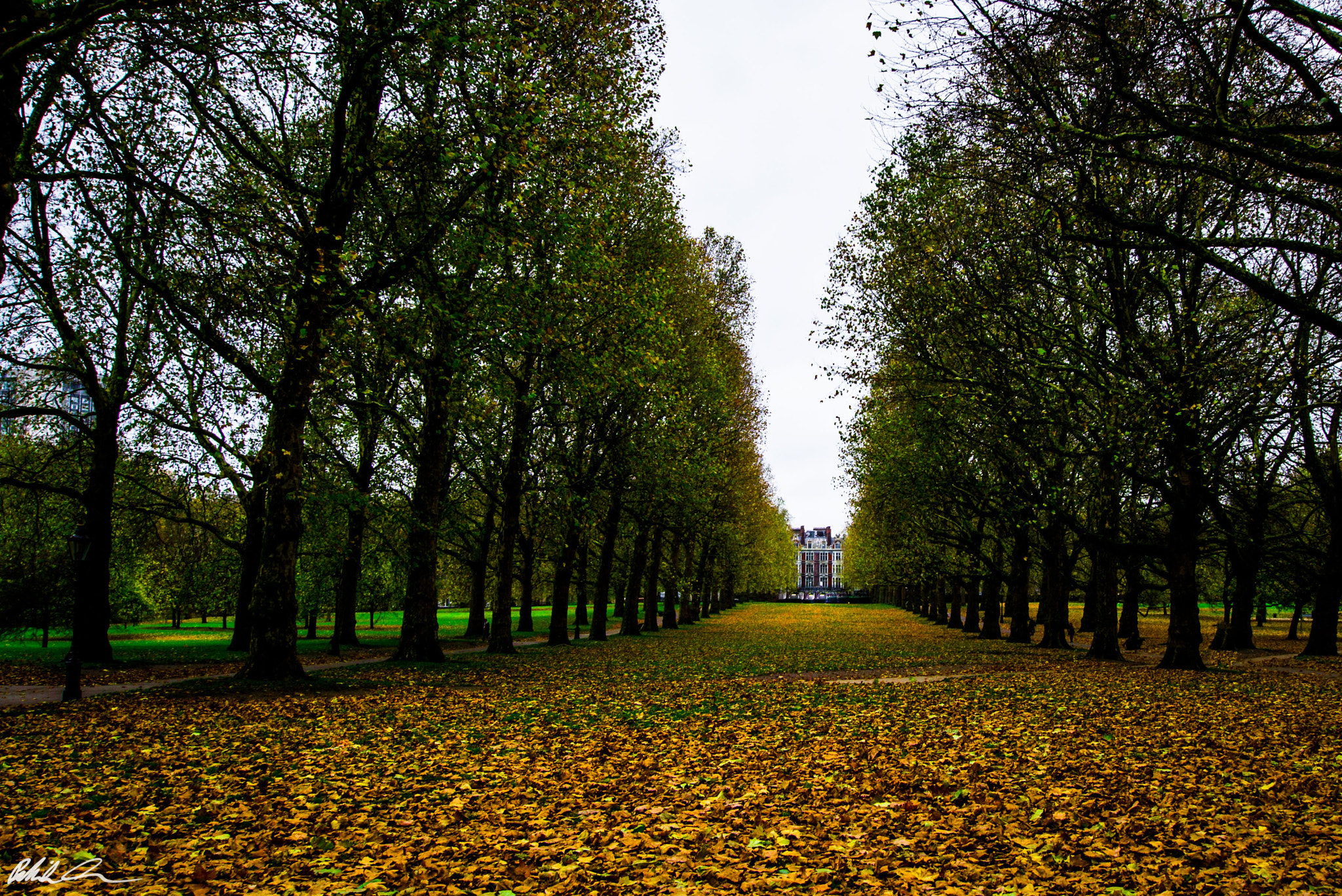 Panasonic Lumix DMC-G3 + OLYMPUS M.9-18mm F4.0-5.6 sample photo. Atmosphere of london parks photography