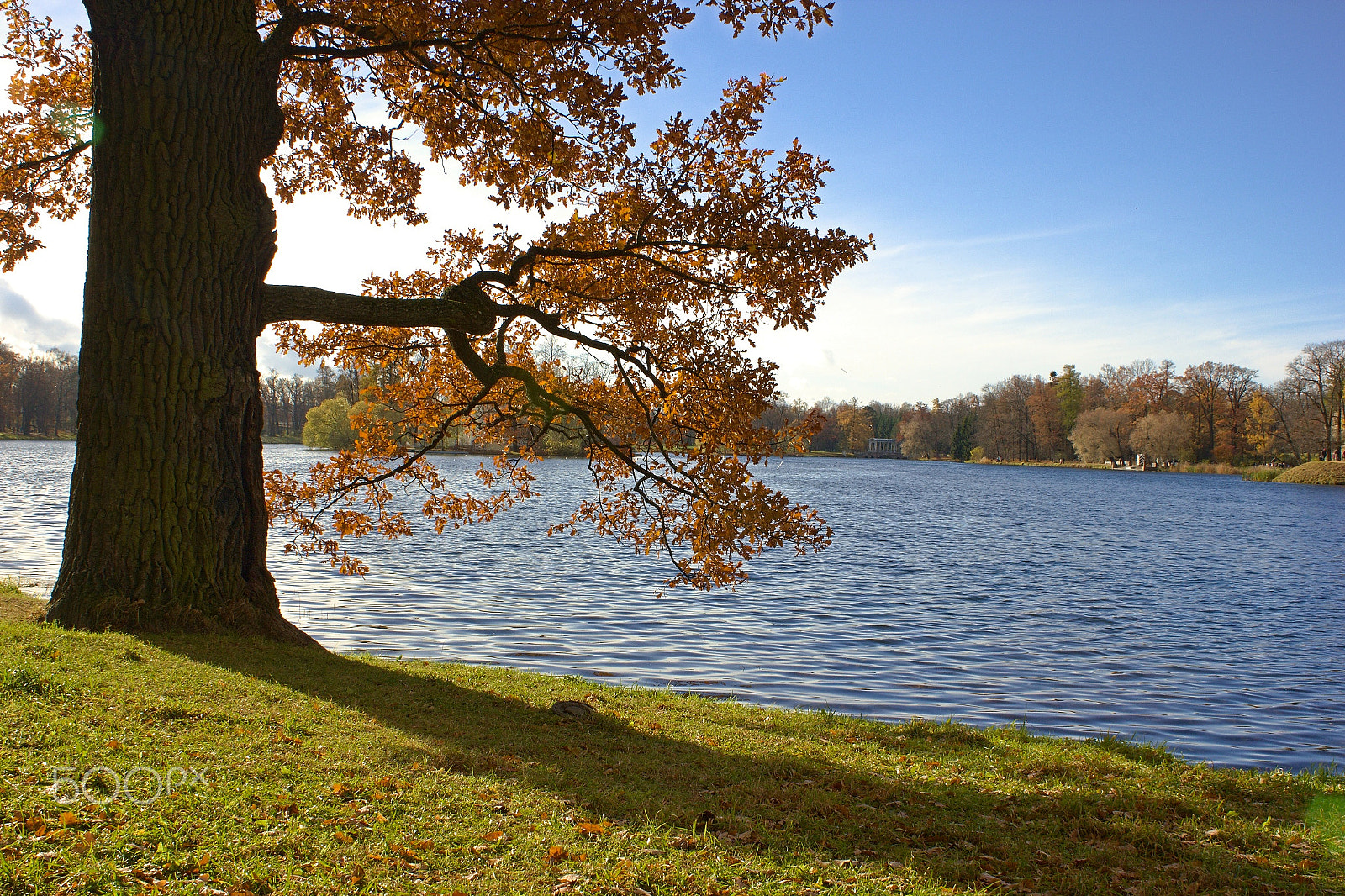 18.00 - 55.00 mm sample photo. Autumn colors photography