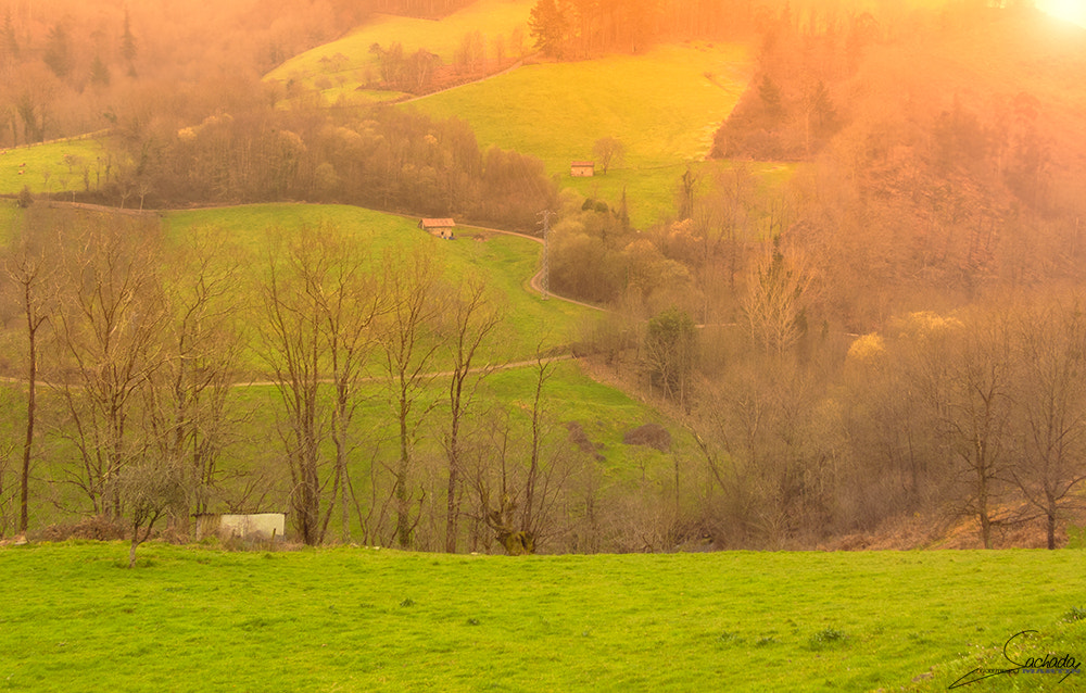 Olympus PEN E-PL6 + Panasonic Lumix G 14mm F2.5 ASPH sample photo. Prados asturianos photography