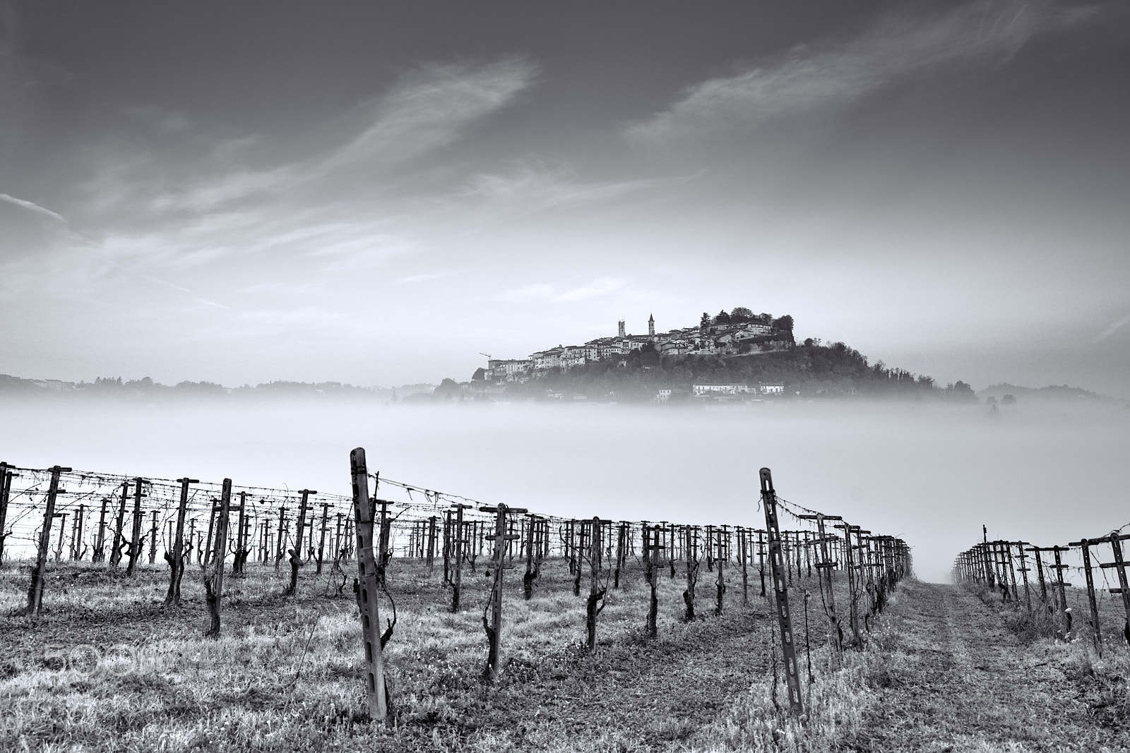 Hasselblad H5D-50c + HCD 35-90 sample photo. The fog between vineyards and villages photography
