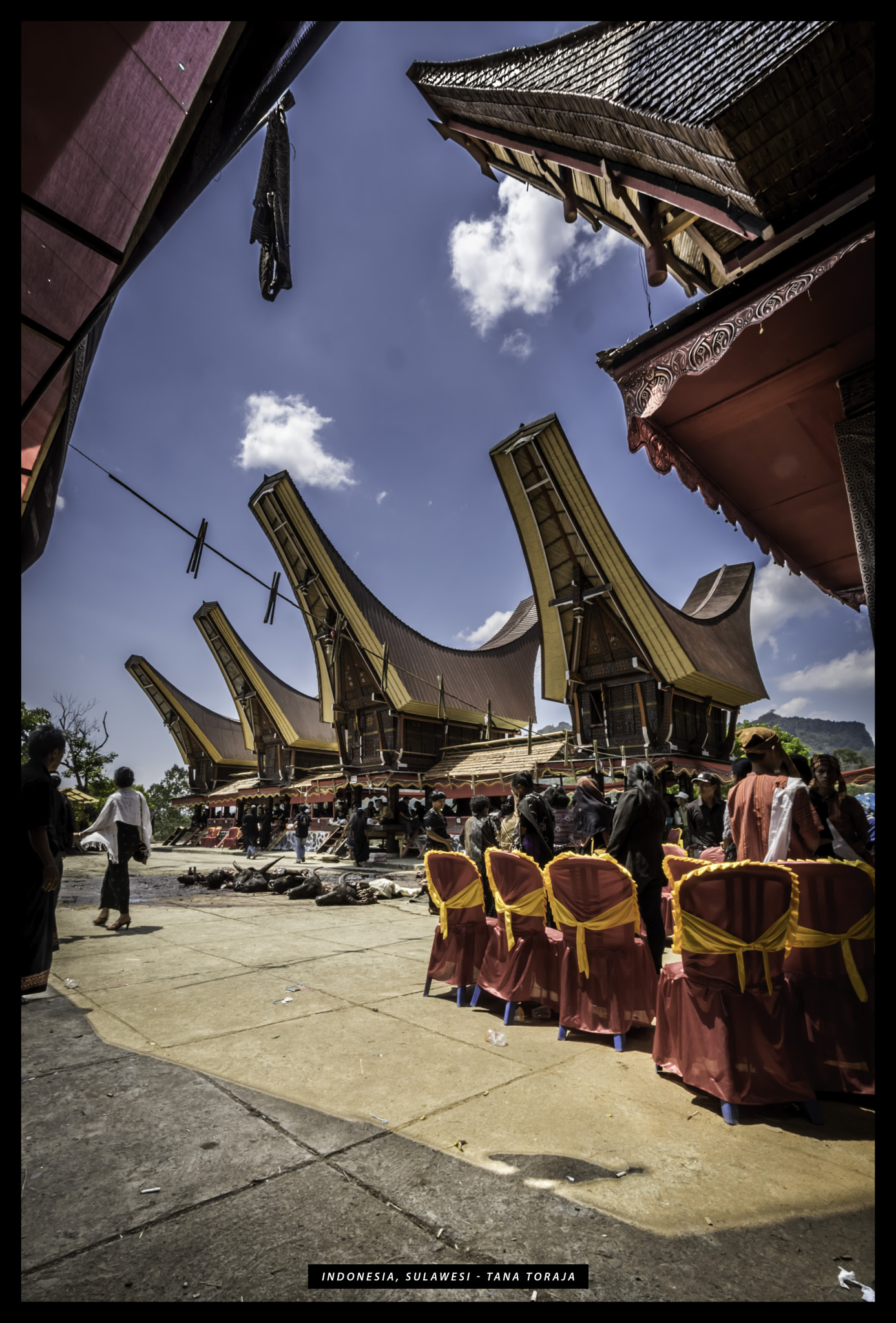 Canon EOS 750D (EOS Rebel T6i / EOS Kiss X8i) sample photo. Sulawesi tana toraja photography