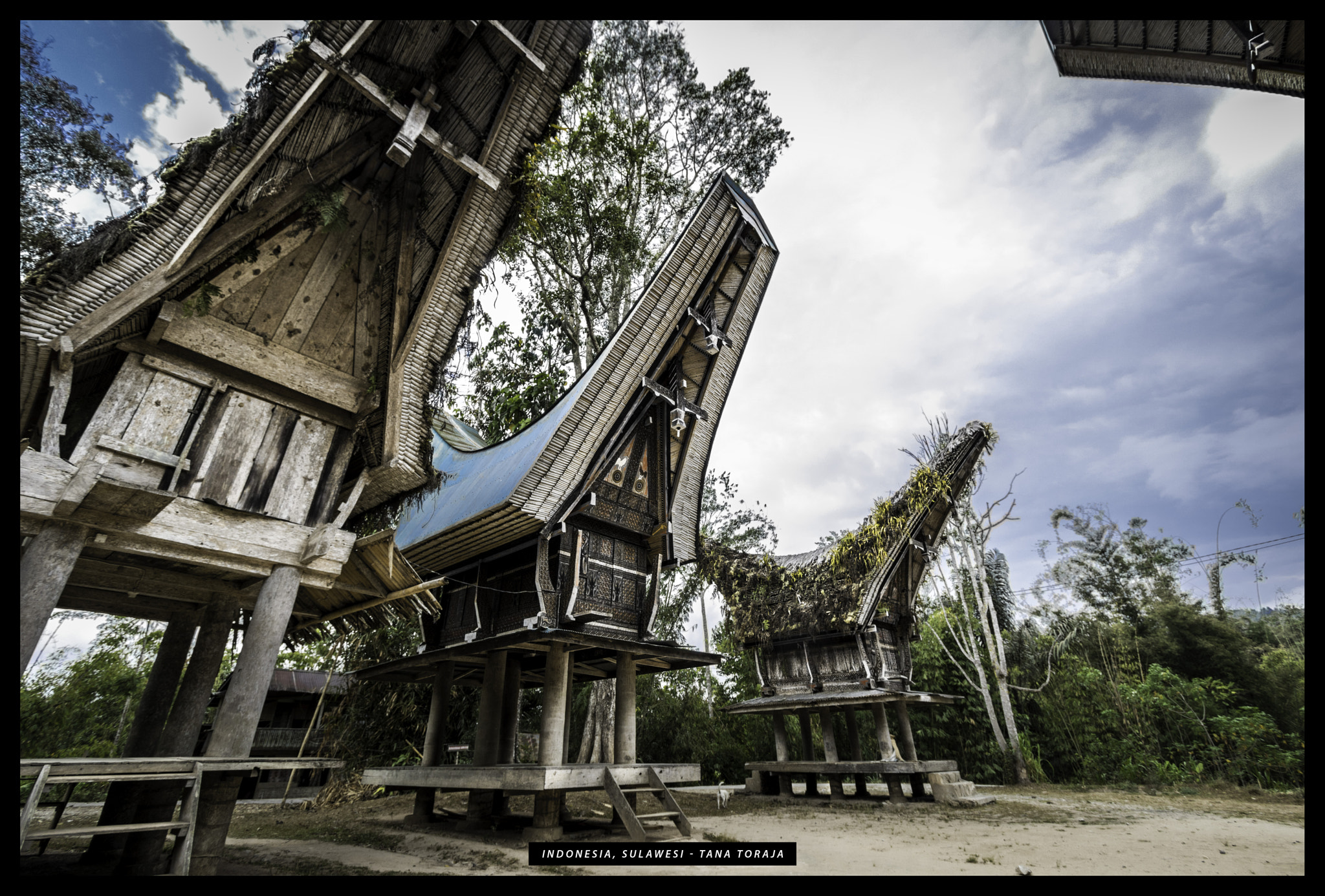 Canon EOS 750D (EOS Rebel T6i / EOS Kiss X8i) sample photo. Sulawesi tana toraja photography