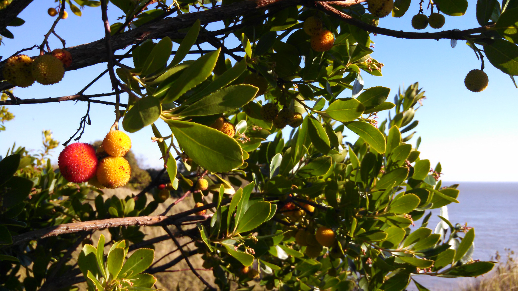 Motorola DROID RAZR HD sample photo. Img_20150928_174125_518.jpg photography