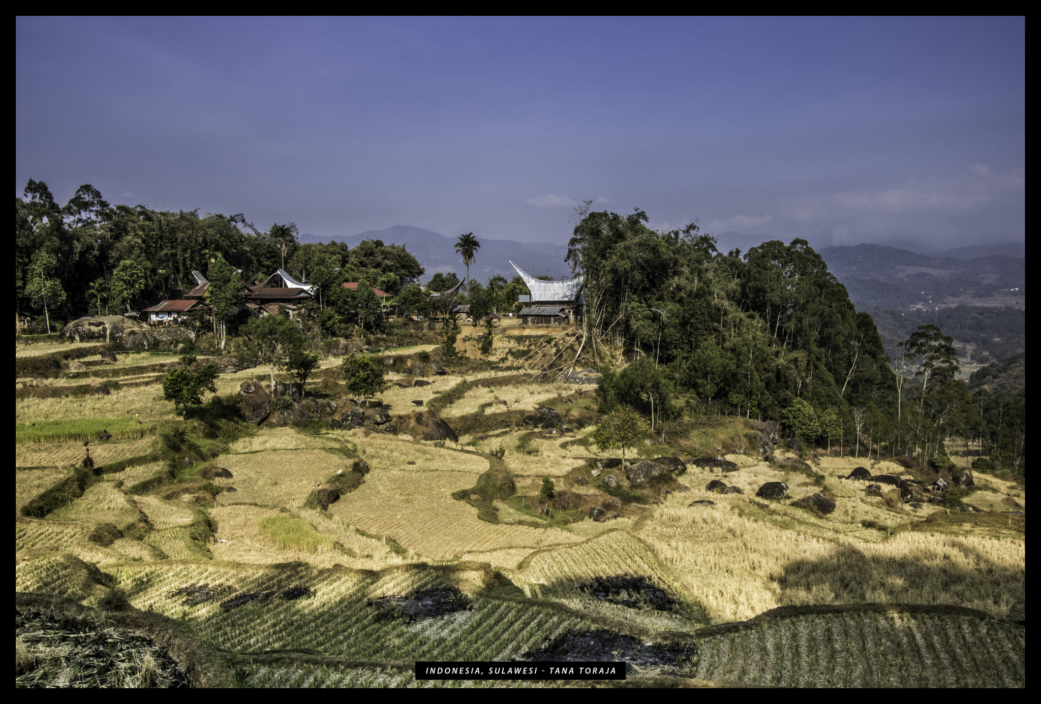 Canon EOS 750D (EOS Rebel T6i / EOS Kiss X8i) sample photo. Sulawesi tana toraja photography