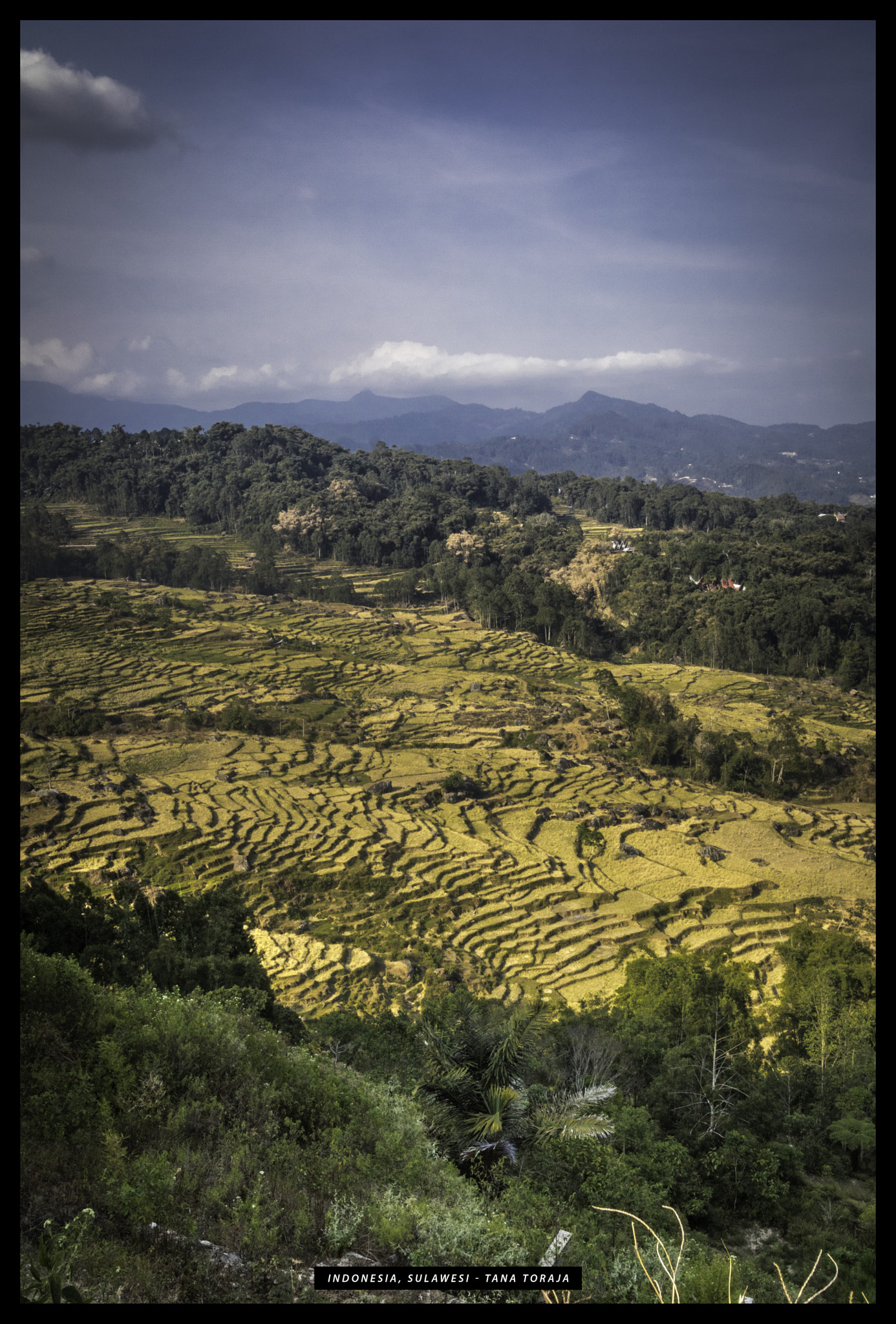 Canon EOS 750D (EOS Rebel T6i / EOS Kiss X8i) sample photo. Sulawesi tana toraja photography
