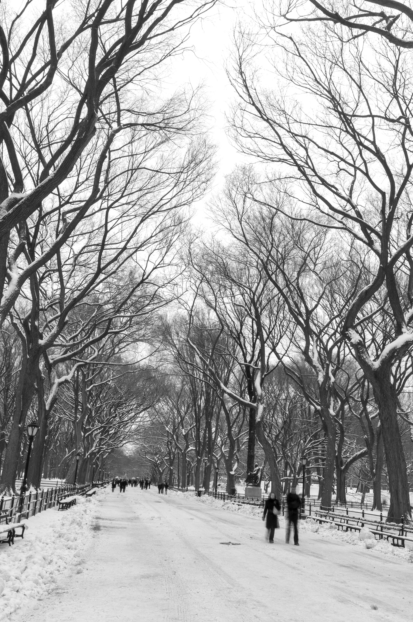 Sigma 12-24mm F4.5-5.6 EX DG Aspherical HSM sample photo. Central parck photography