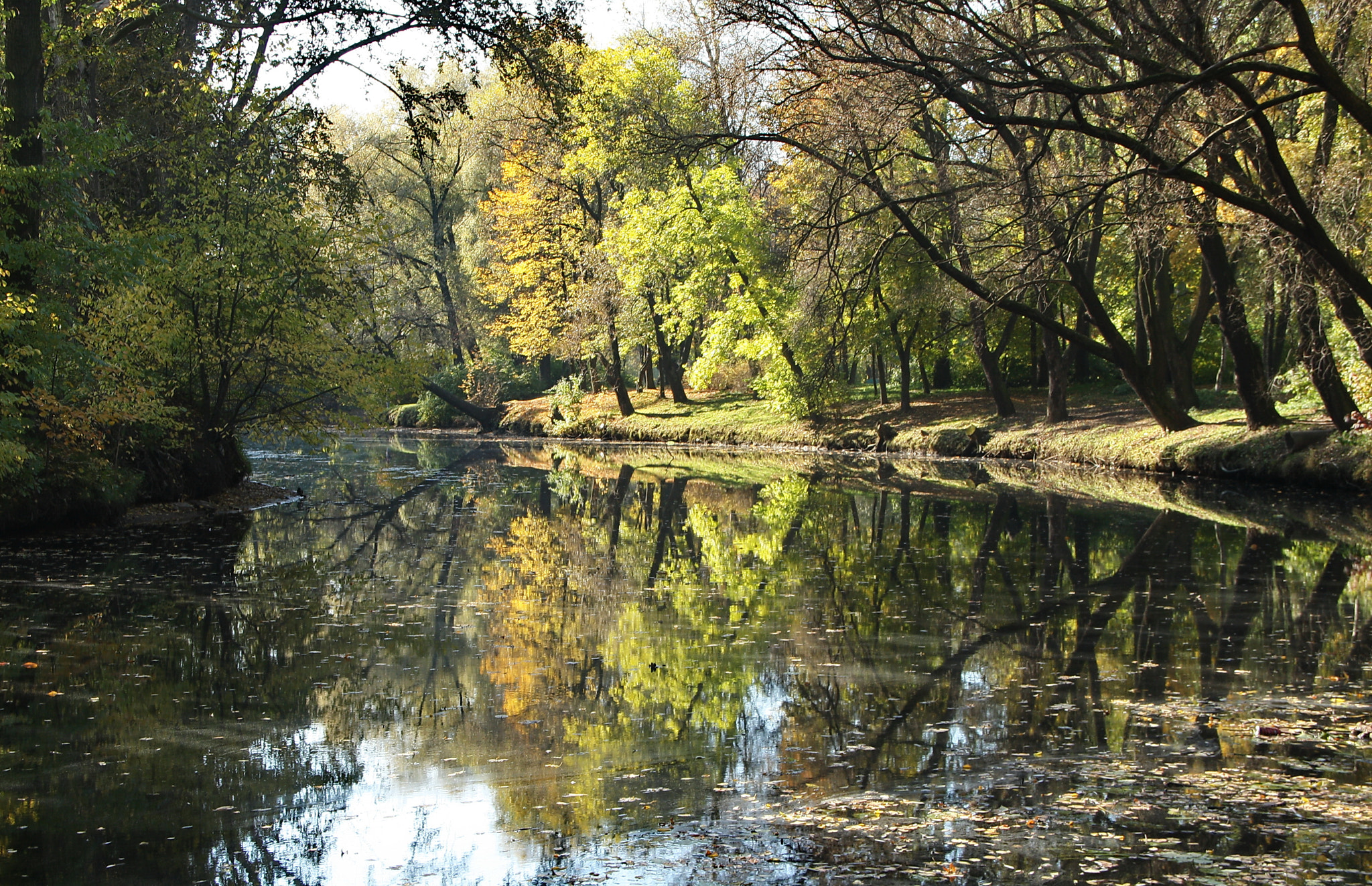 Sigma 18-125mm F3.8-5.6 DC OS HSM sample photo. Reflections photography