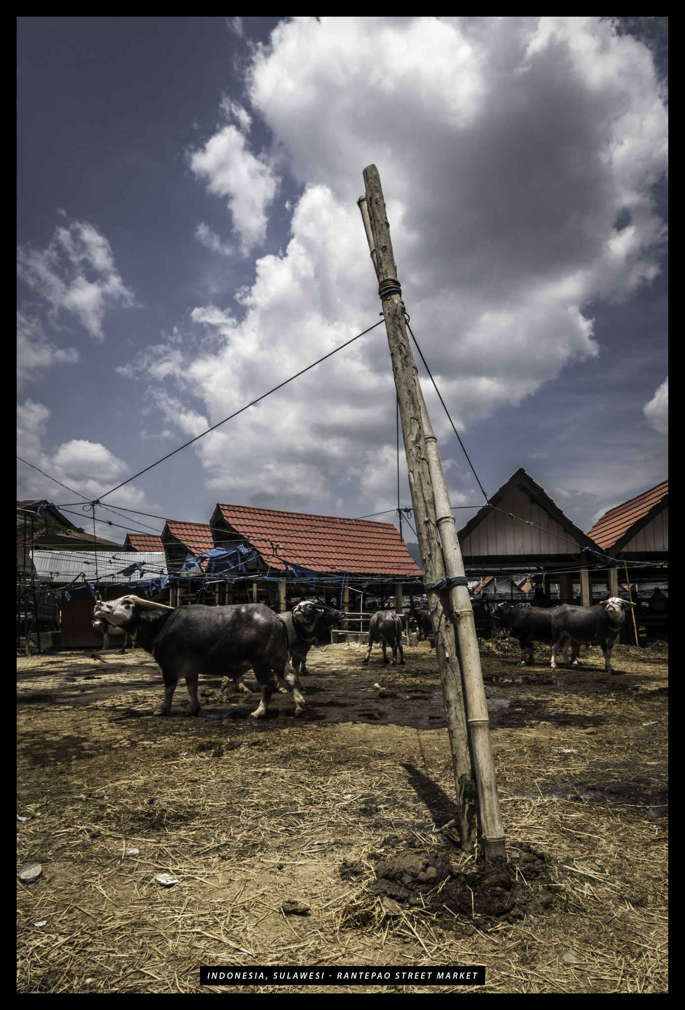 Canon EOS 750D (EOS Rebel T6i / EOS Kiss X8i) sample photo. Sulawesi tana toraja photography