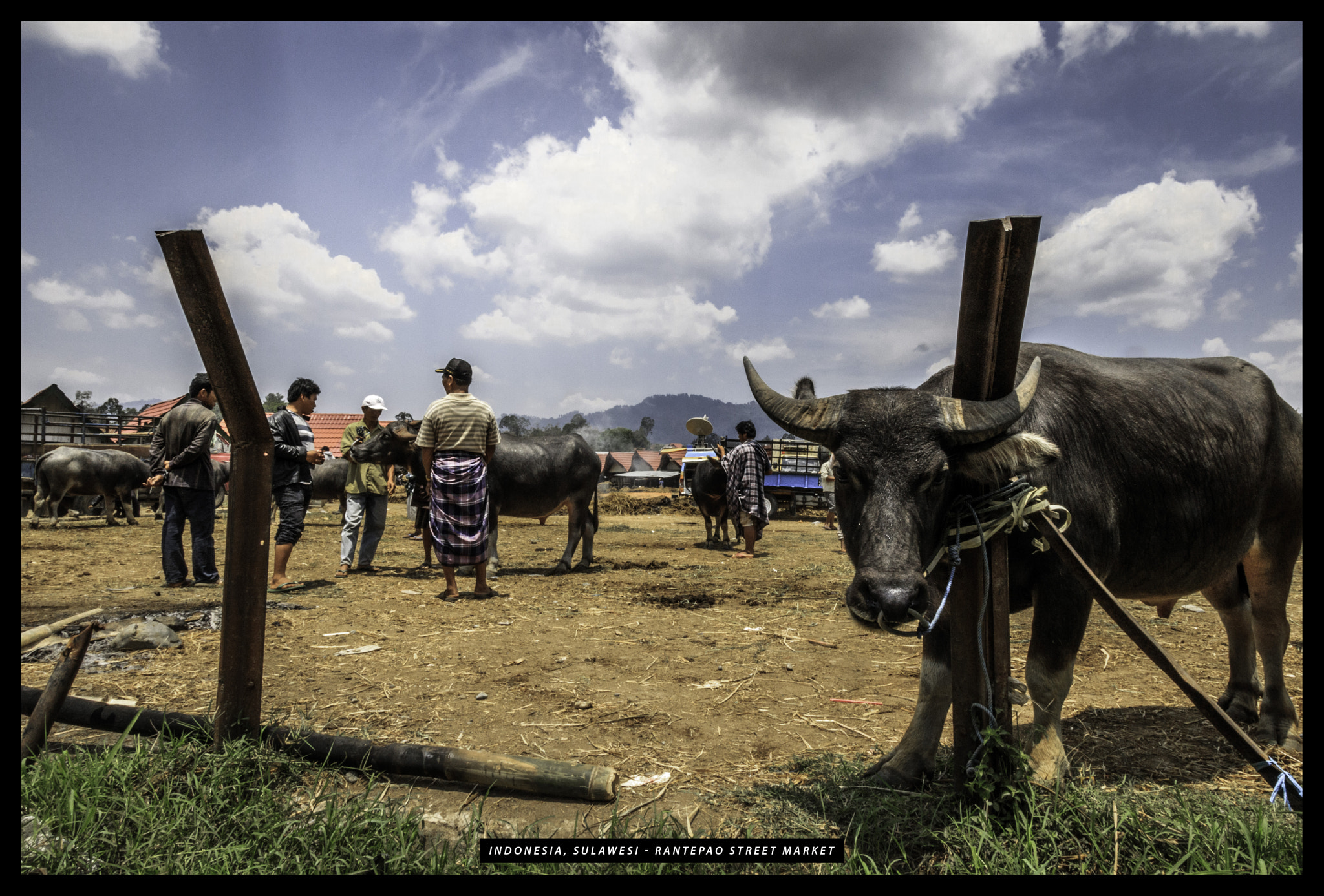 Canon EOS 750D (EOS Rebel T6i / EOS Kiss X8i) sample photo. Sulawesi tana toraja photography