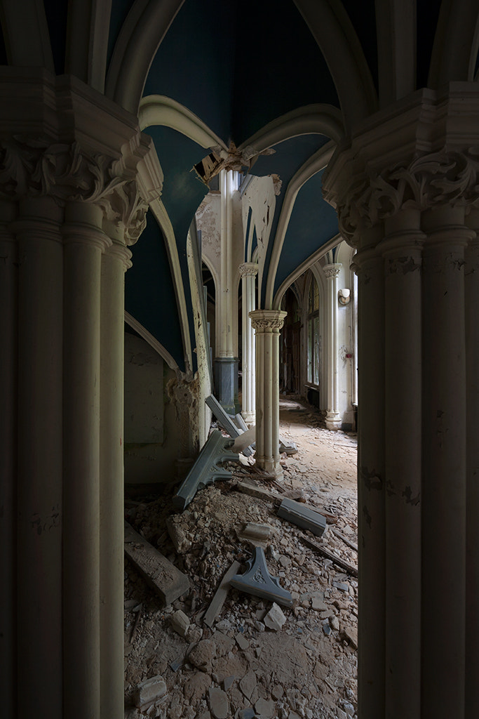 Canon EF 14mm F2.8L II USM sample photo. Rex tremendae photography