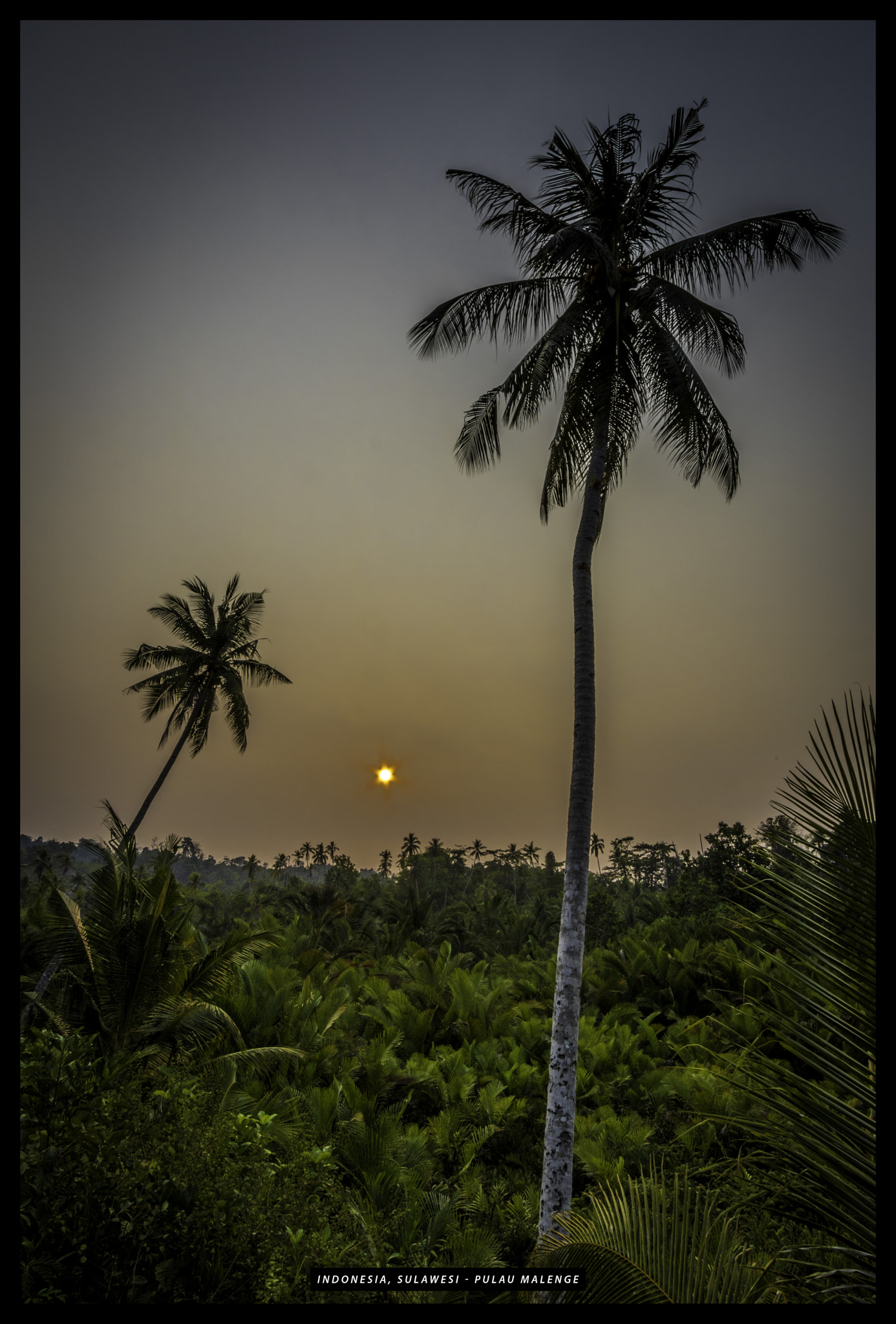 Canon EOS 750D (EOS Rebel T6i / EOS Kiss X8i) sample photo. Sulawesi pulau malenge photography