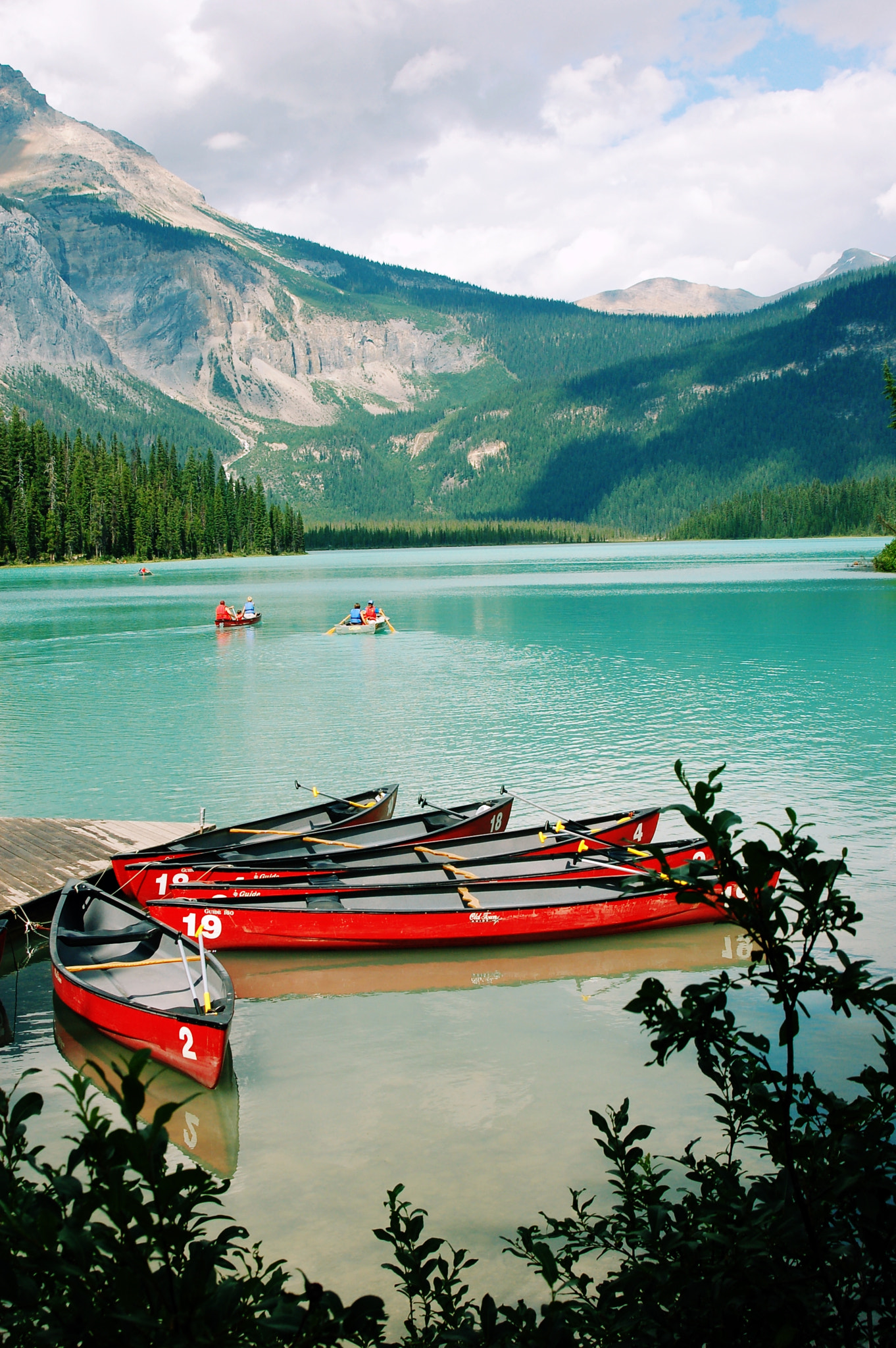 Nikon D50 sample photo. Canada photography