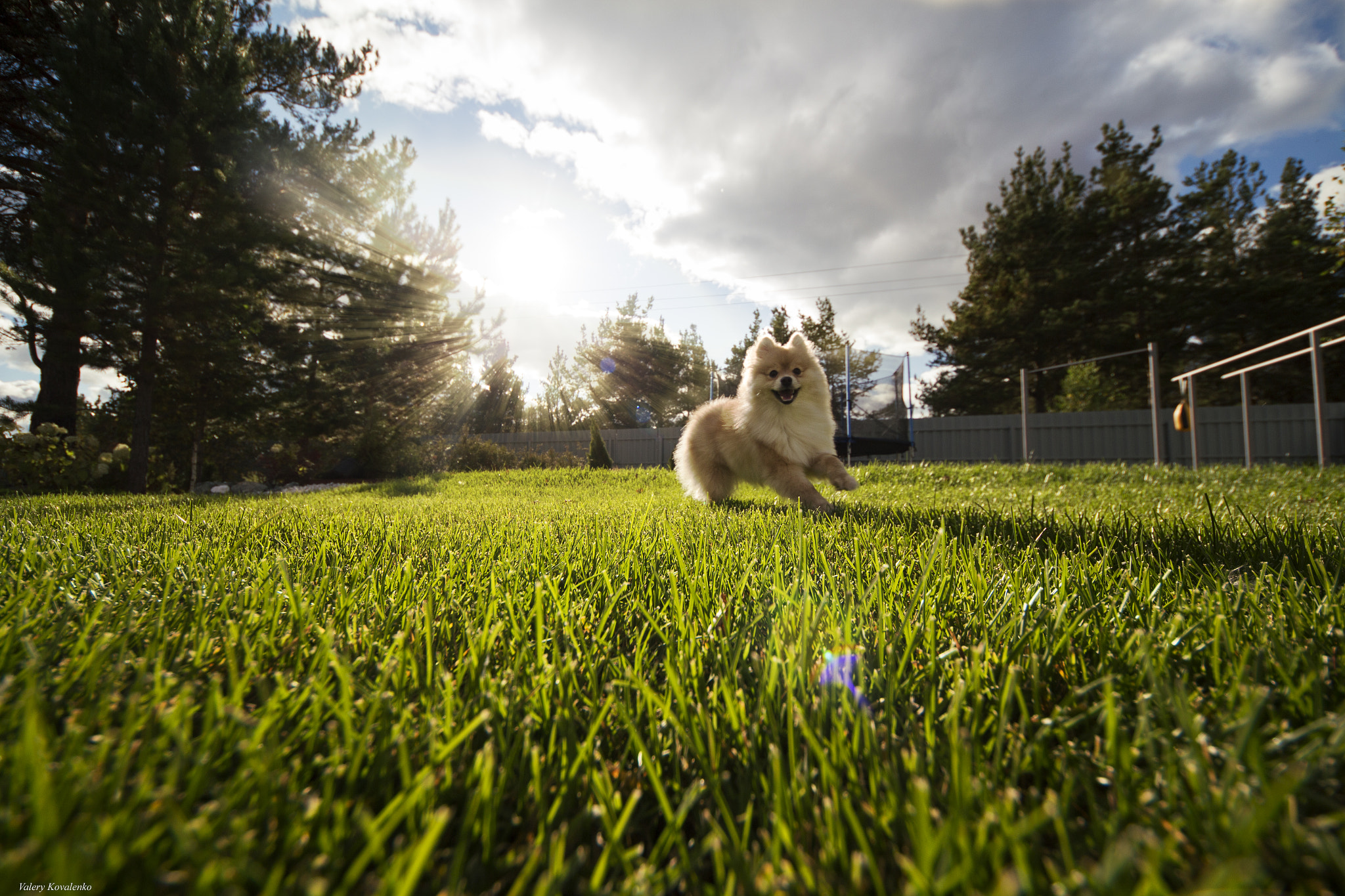 Sigma 8-16mm F4.5-5.6 DC HSM sample photo. Knopa photography