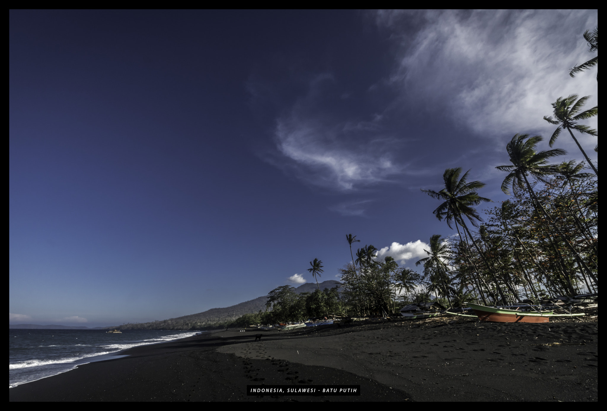 Canon EOS 750D (EOS Rebel T6i / EOS Kiss X8i) sample photo. Sulawesi tongkokobatuputih photography