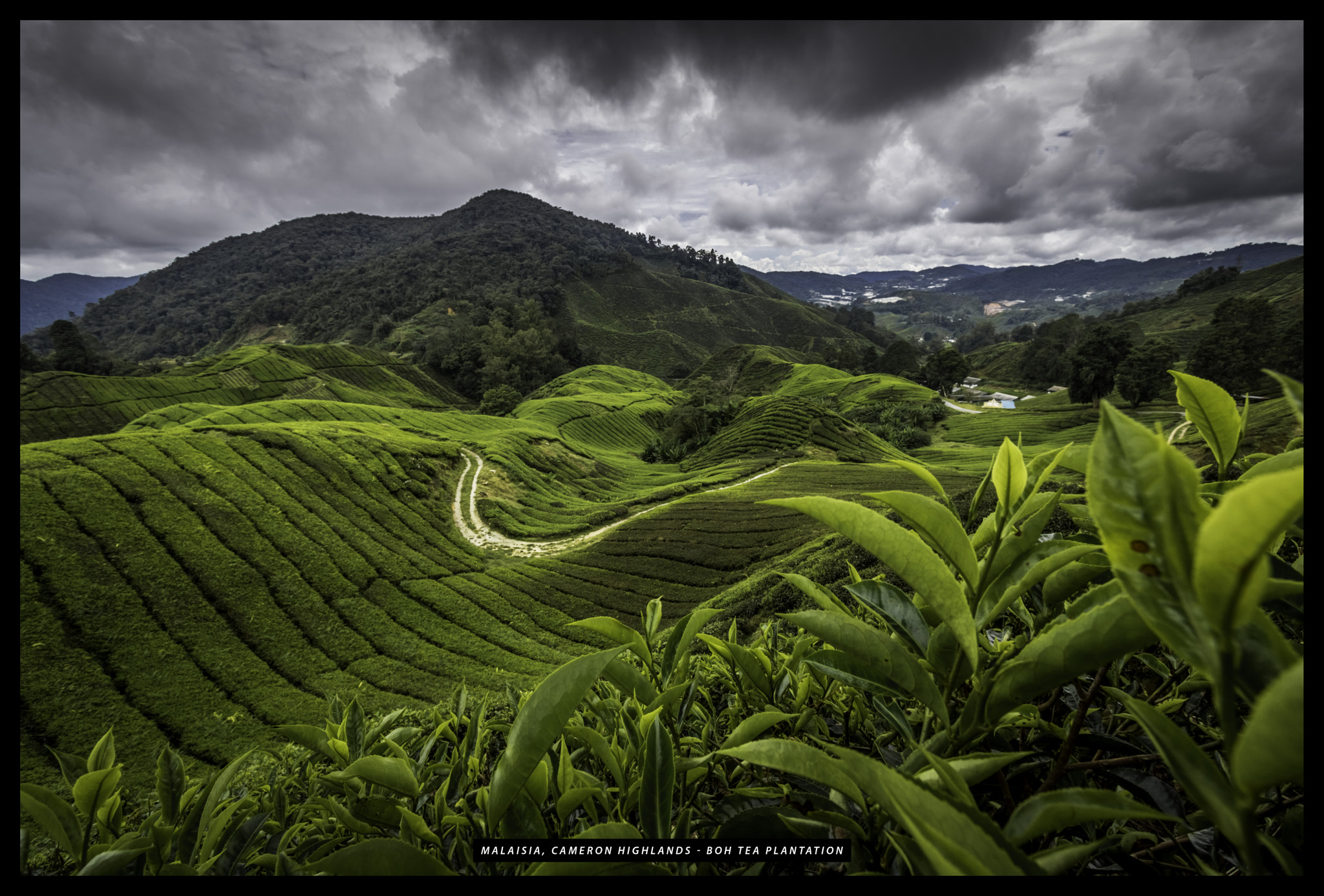 Canon EOS 750D (EOS Rebel T6i / EOS Kiss X8i) sample photo. Malaisie cameron highlands tanah rata photography