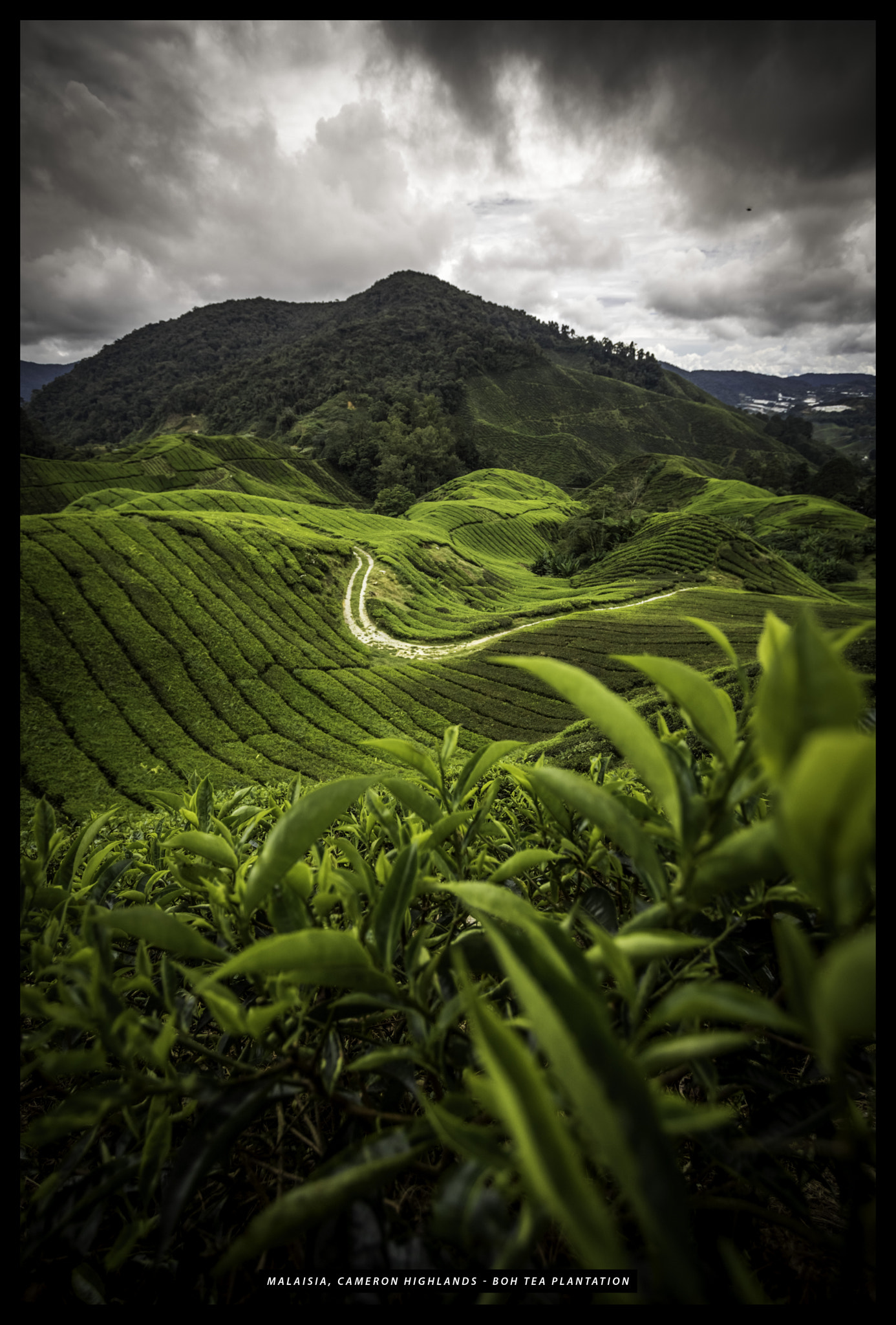 Canon EOS 750D (EOS Rebel T6i / EOS Kiss X8i) sample photo. Malaisie cameron highlands tanah rata photography