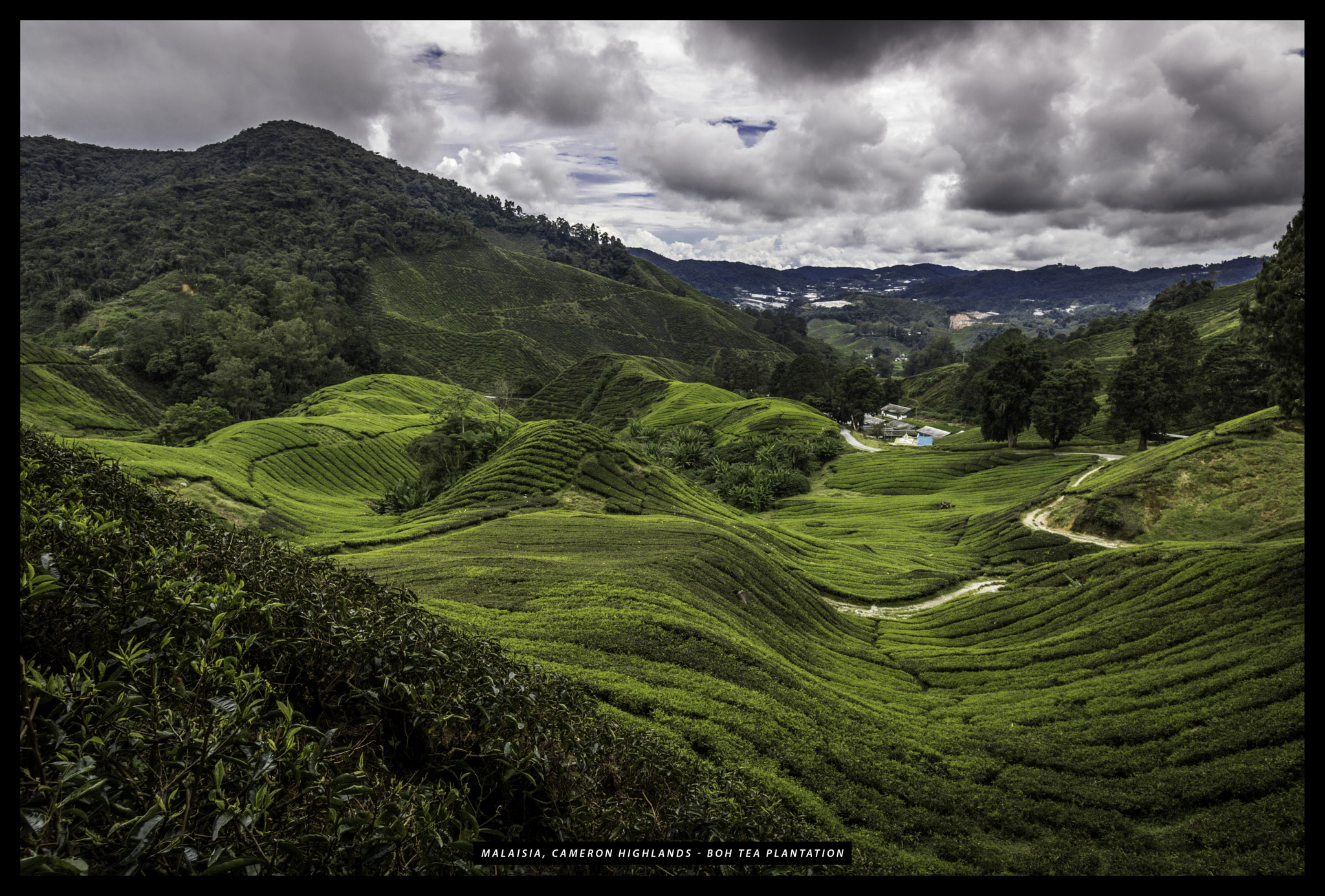 Canon EOS 750D (EOS Rebel T6i / EOS Kiss X8i) sample photo. Malaisie cameron highlands tanah rata photography