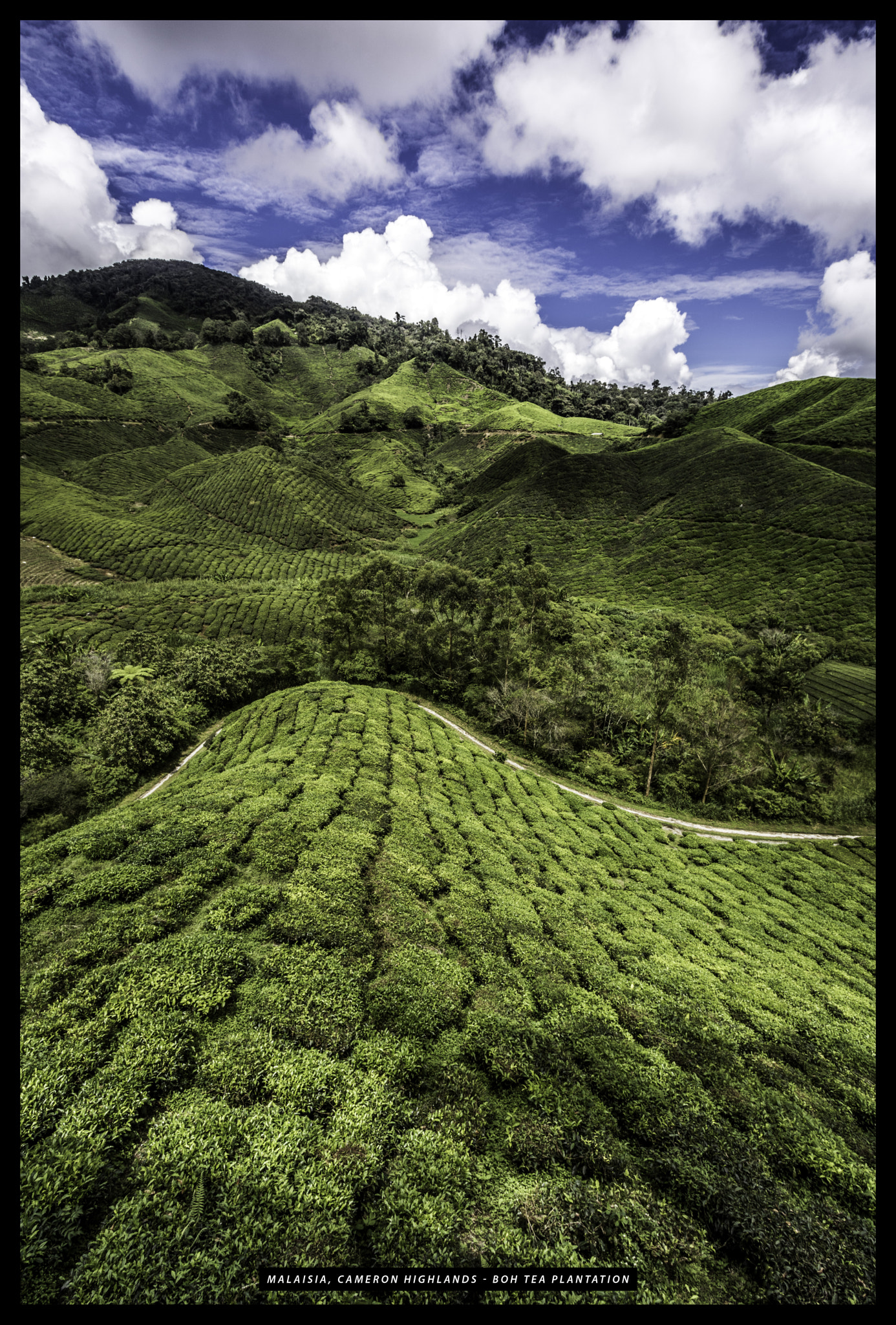 Canon EOS 750D (EOS Rebel T6i / EOS Kiss X8i) sample photo. Malaisie cameron highlands tanah rata photography