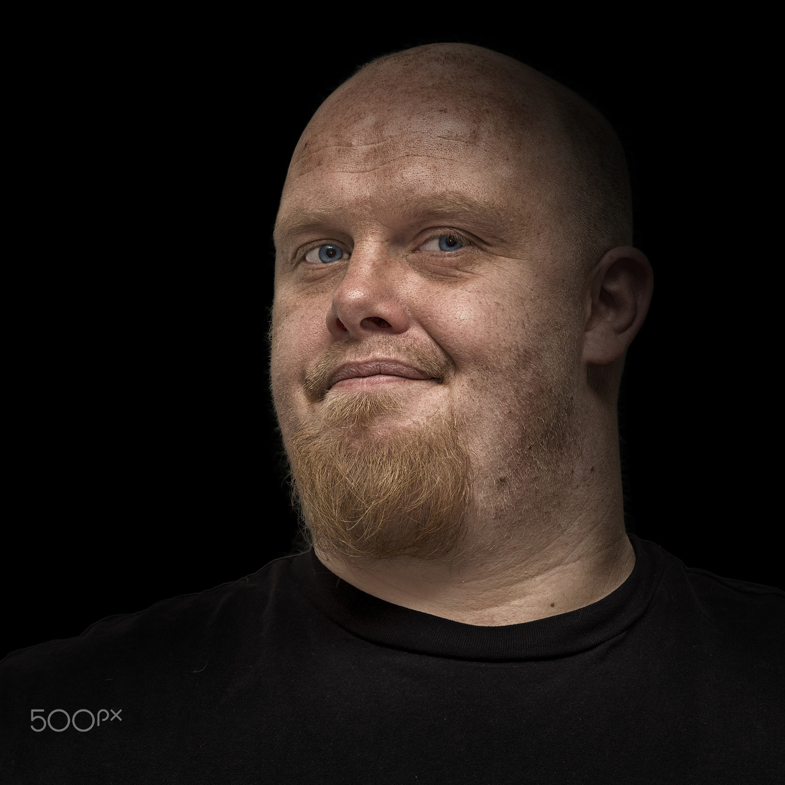 Sony ILCA-77M2 + Sony 28-75mm F2.8 SAM sample photo. Johnny kaj photography