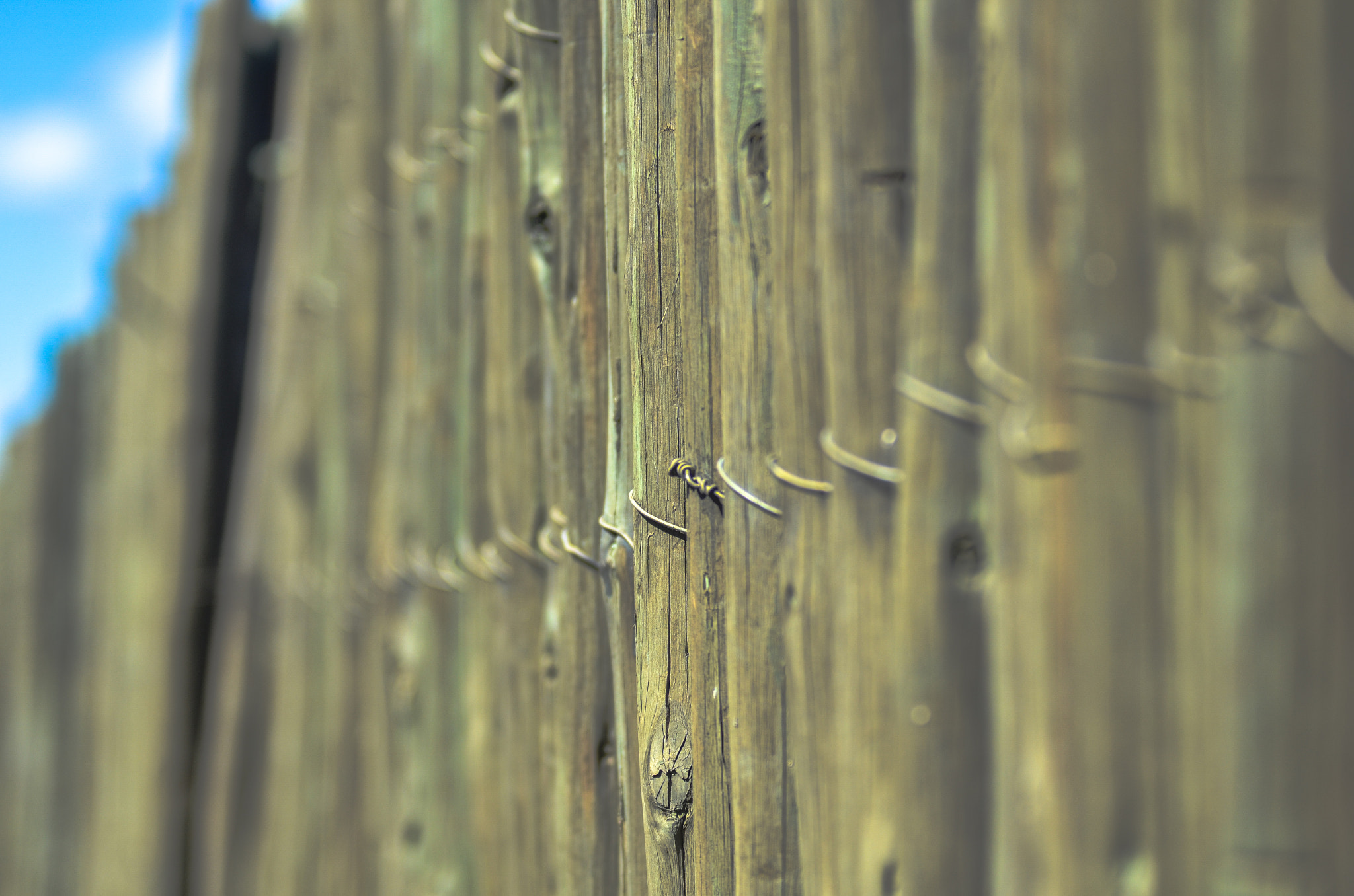 Sigma 70-200mm F2.8 EX DG OS HSM sample photo. Barrier photography