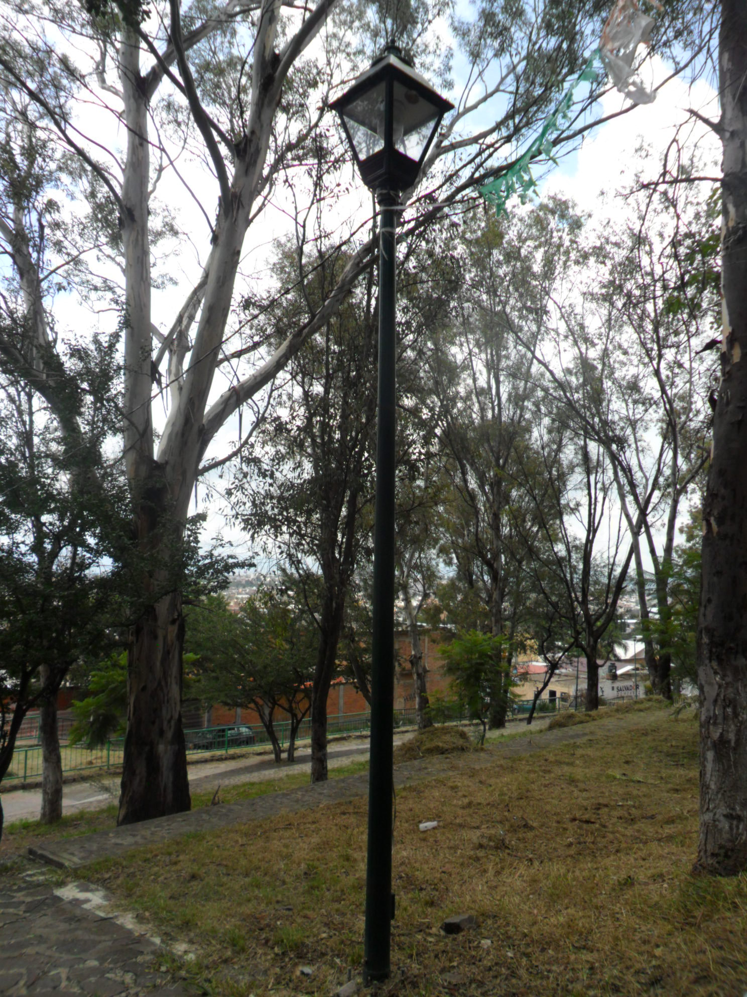 Samsung PL20,PL21 / VLUU PL20,PL21 sample photo