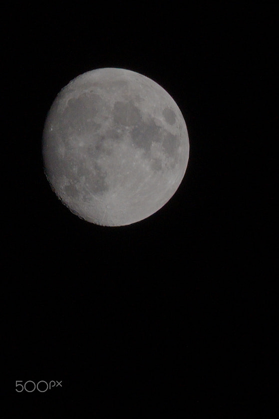 Sigma 70-200mm F2.8 EX DG OS HSM sample photo. Nikon d750+sigma 70-200 2.8 vs fz1000 photography