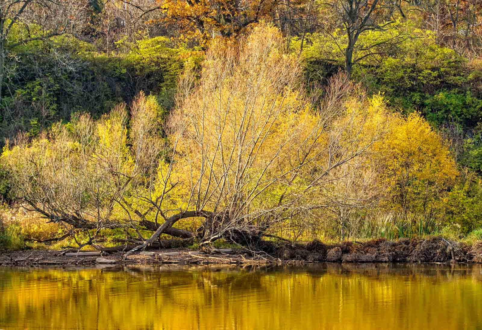 Sony Alpha DSLR-A500 + Sony DT 55-300mm F4.5-5.6 SAM sample photo. Fall aternoon at valley inn pond.. photography
