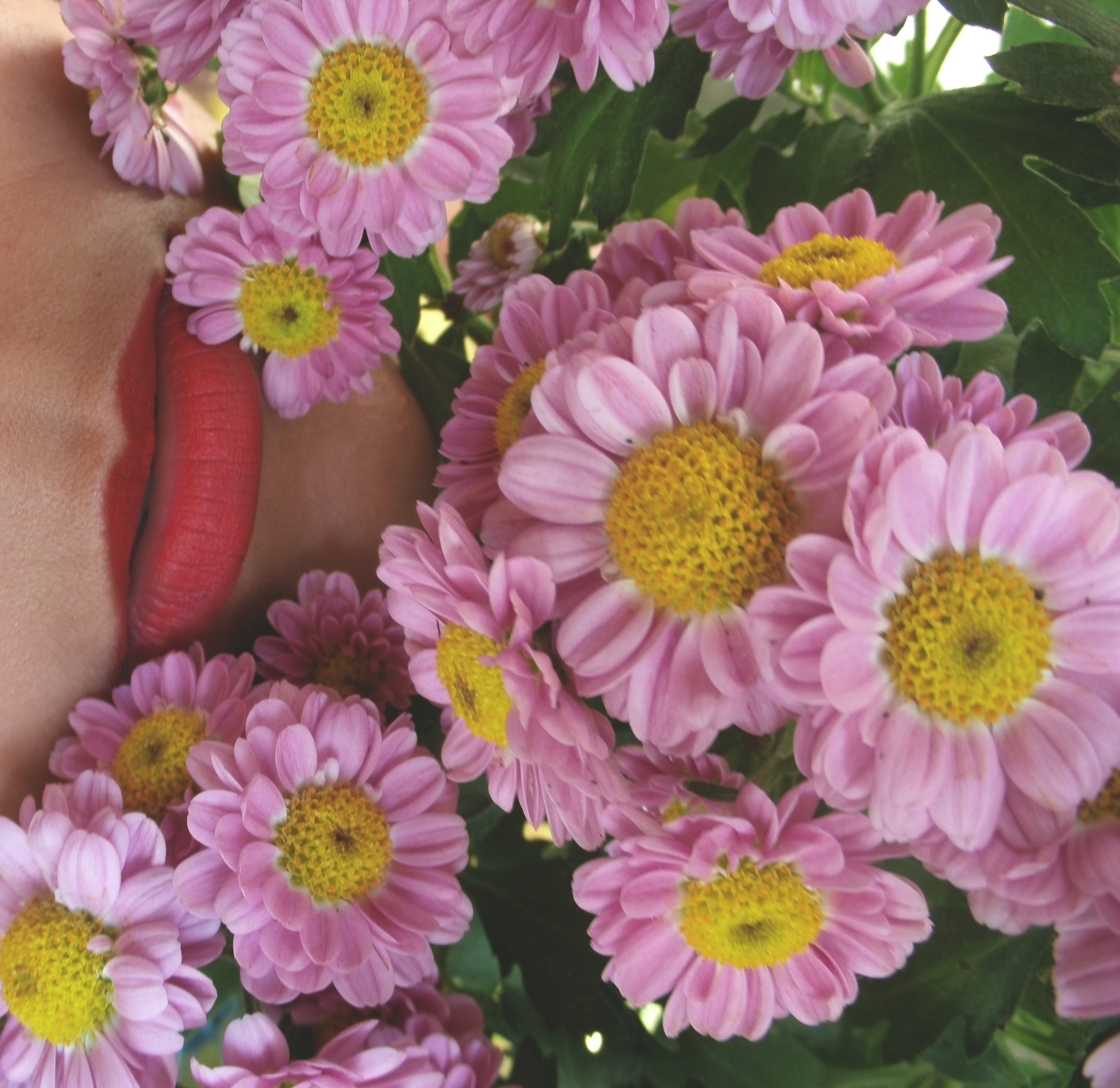 Olympus C-620 sample photo. Flowers and lips photography