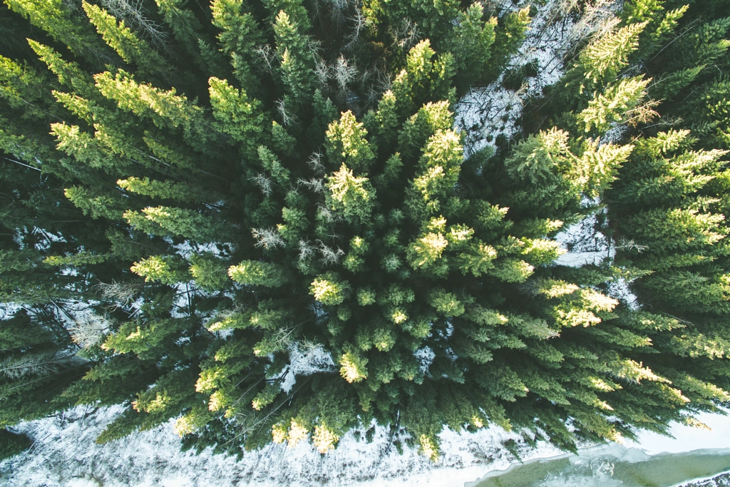 Top Down by Aidan Campbell on 500px.com