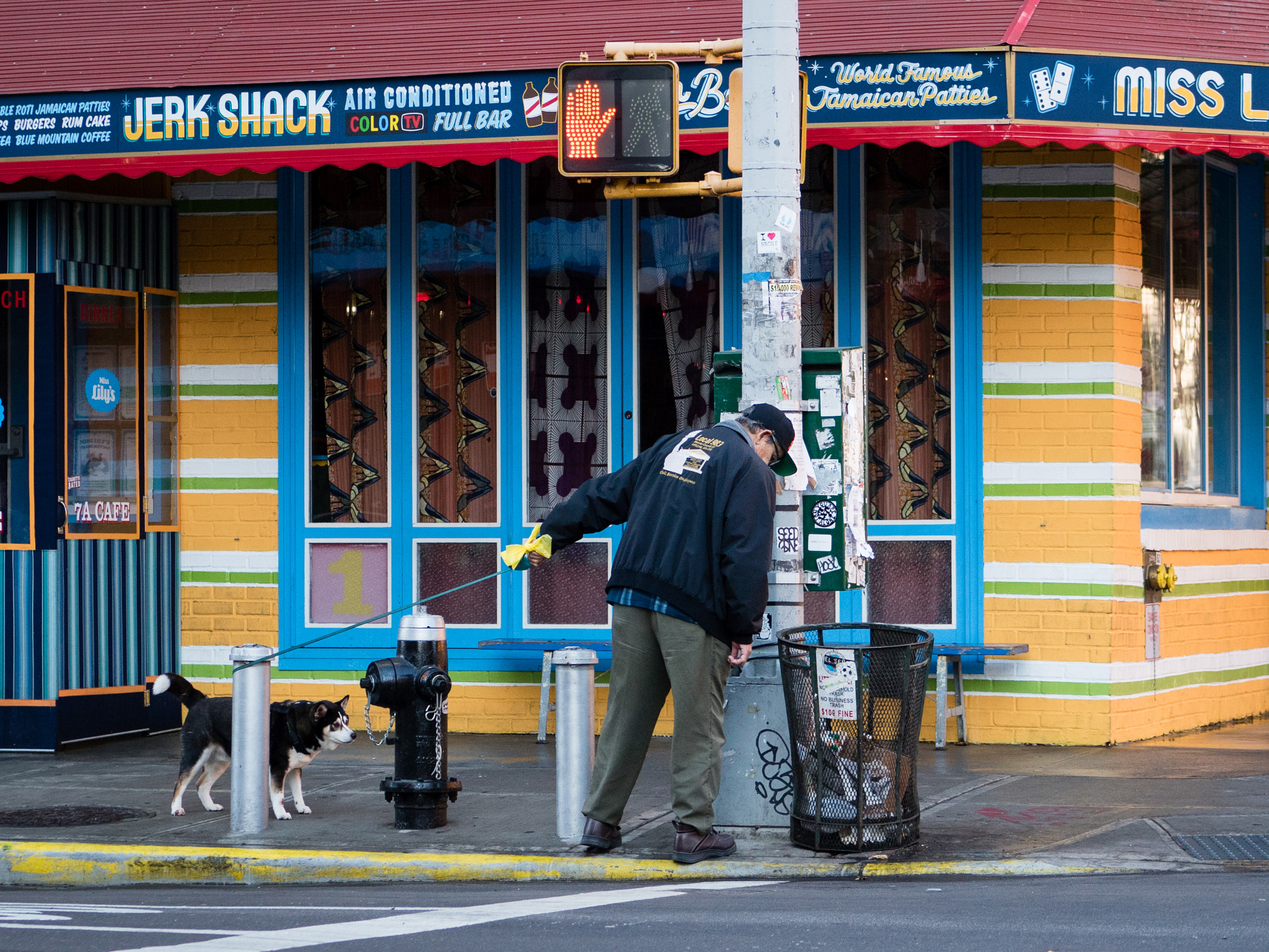 Panasonic Lumix G 42.5mm F1.7 ASPH Power OIS sample photo. Old dogs photography