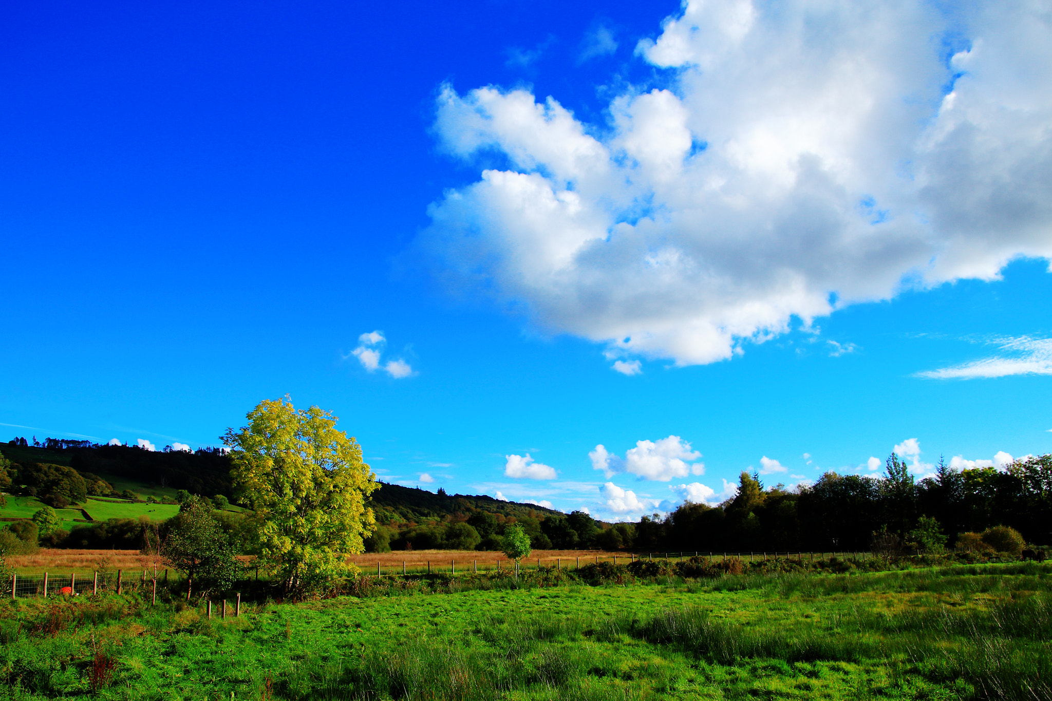 Canon EOS M sample photo. Warm photography