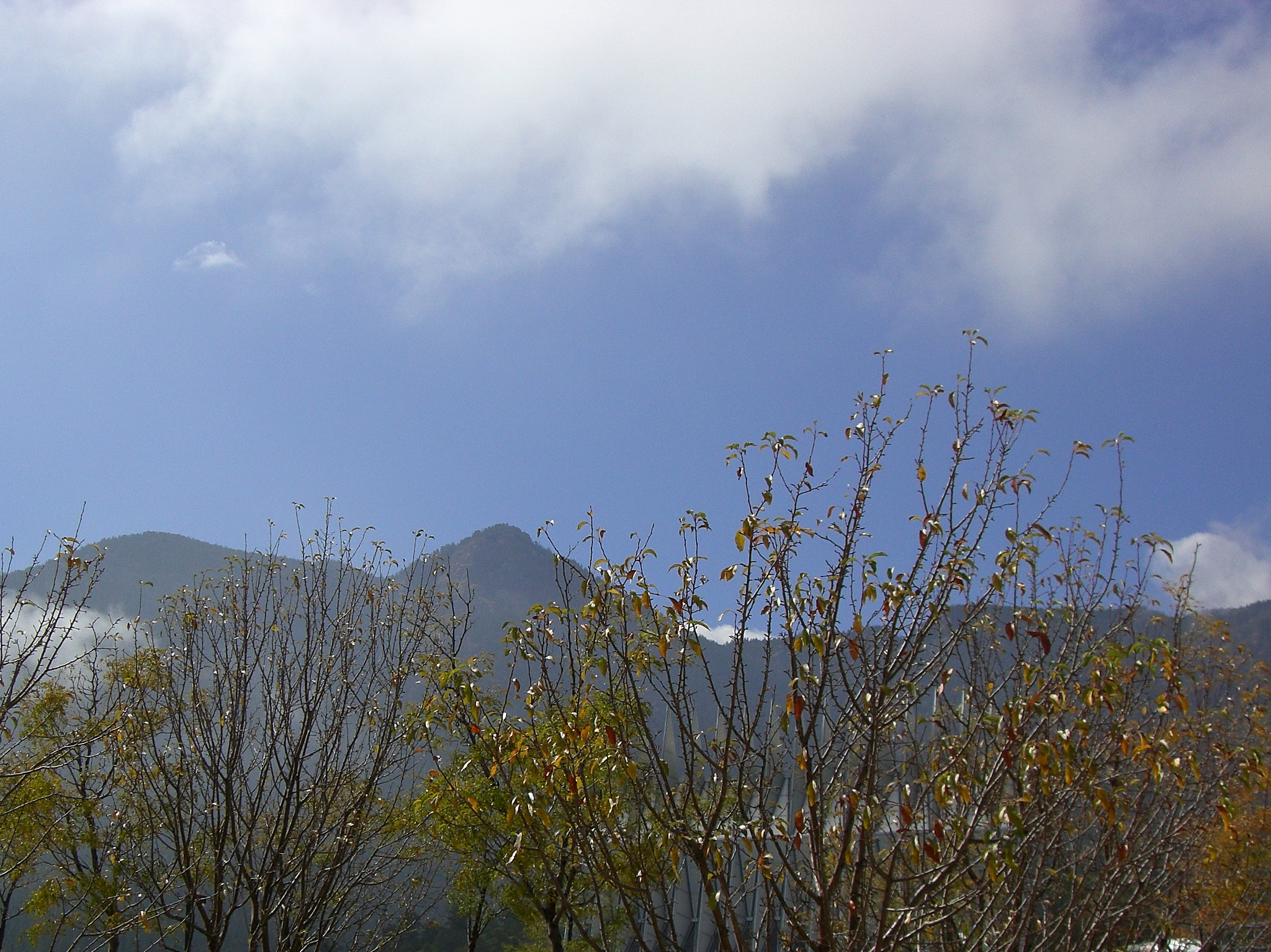 CASIO EX-Z700 sample photo. Mountain through trees photography