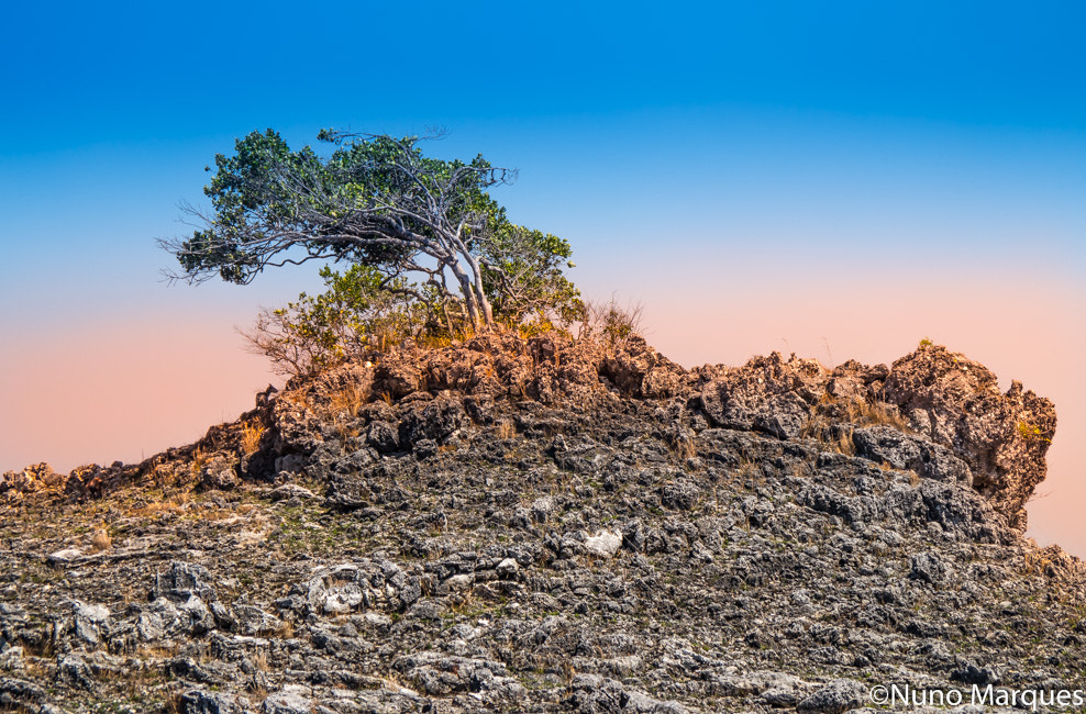smc PENTAX-DA L 50-200mm F4-5.6 ED sample photo. Soil in atauro island, timor-leste photography